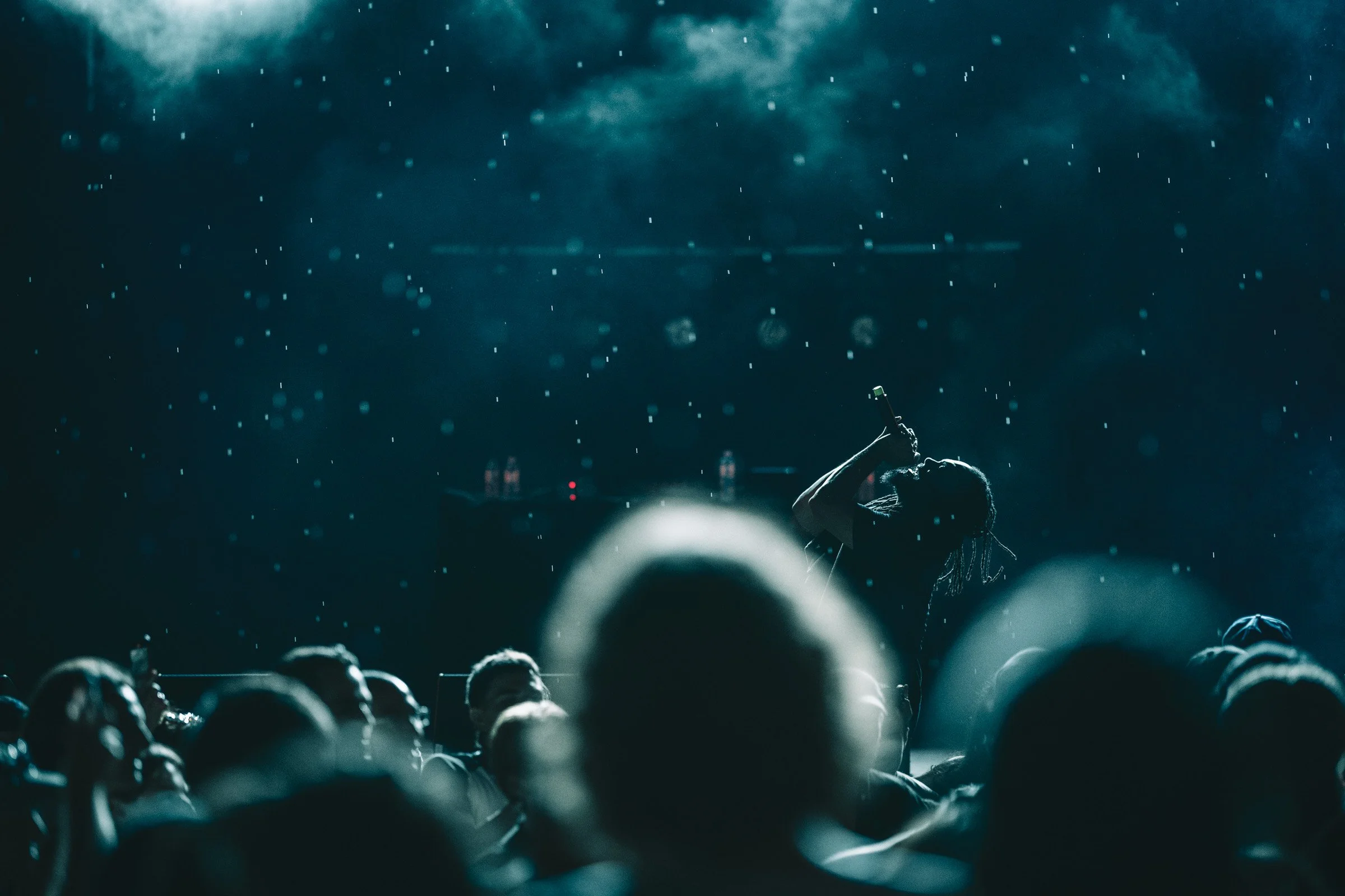 photo de concert, festival de la Cité