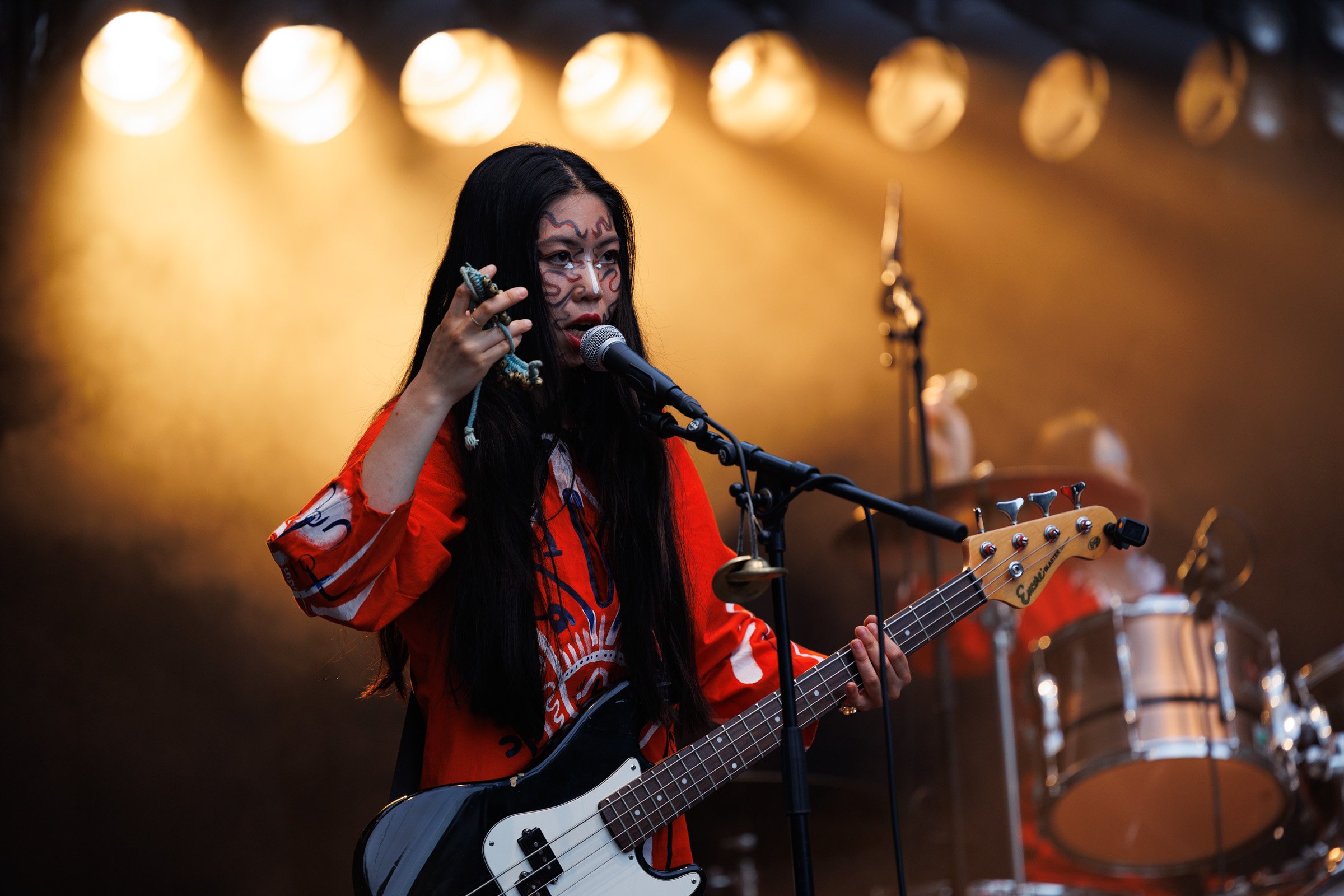 photo de concert, festival de la Cité