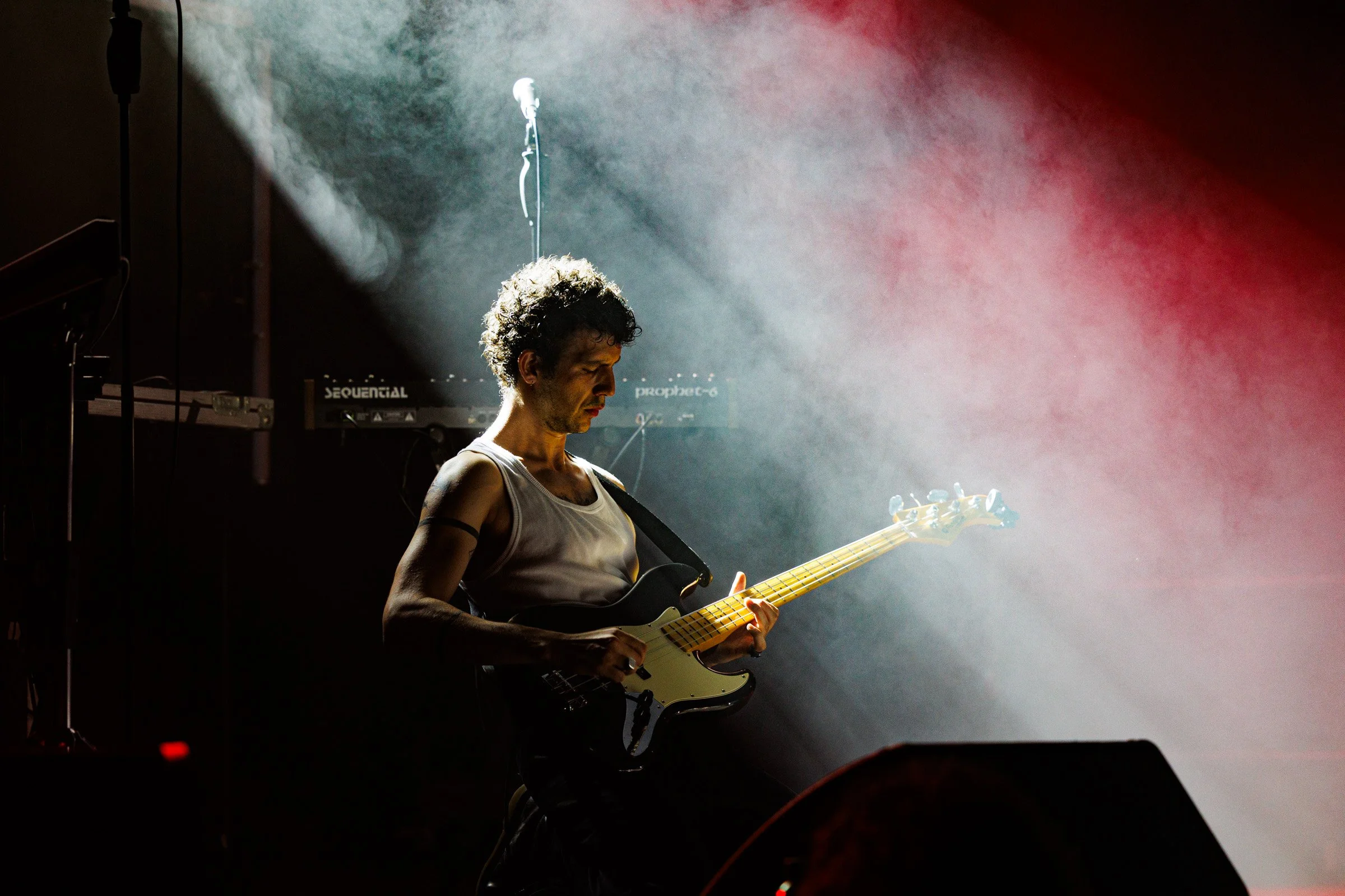 photo de concert, festival de la Cité