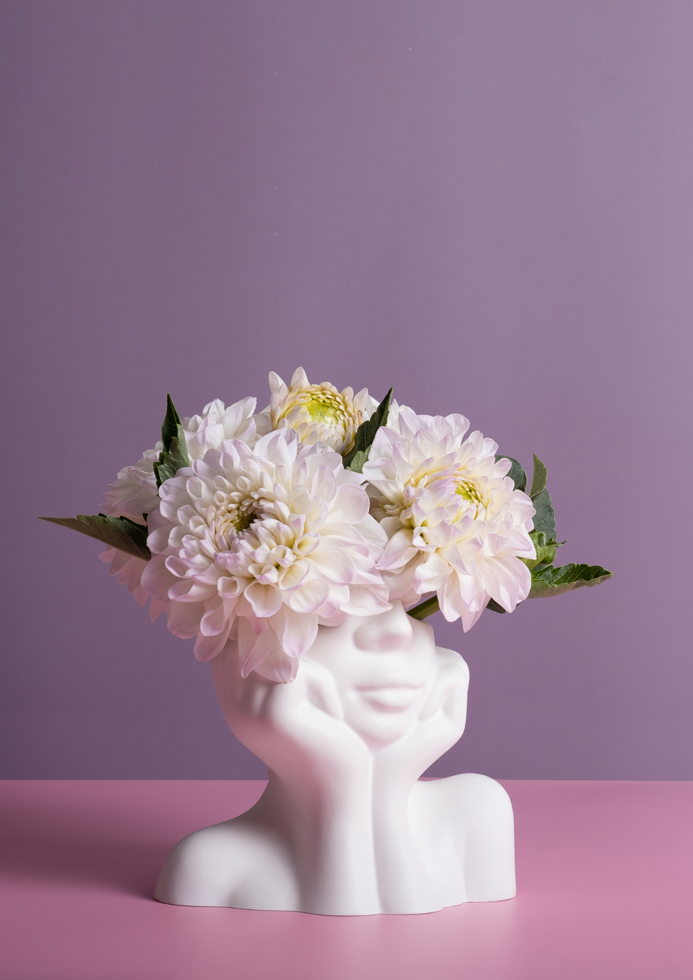 Ein weißer Skulpturkopf als Vase, gefüllt mit weißen und hellgelben Dahlien, vor einem lilafarbenen Hintergrund.