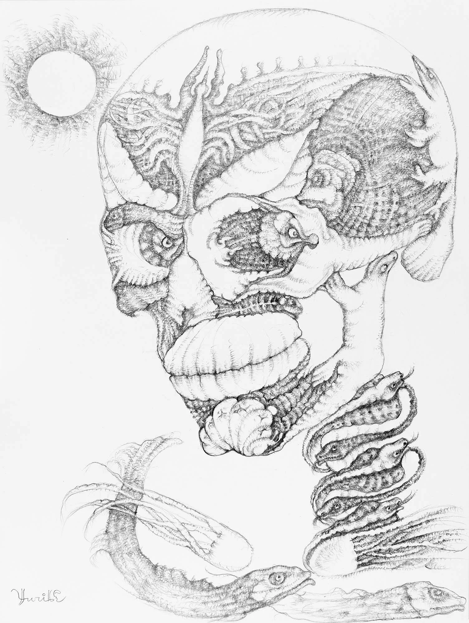 Look at Me. Graphite on paper, 27x36cm, 2022. Available.