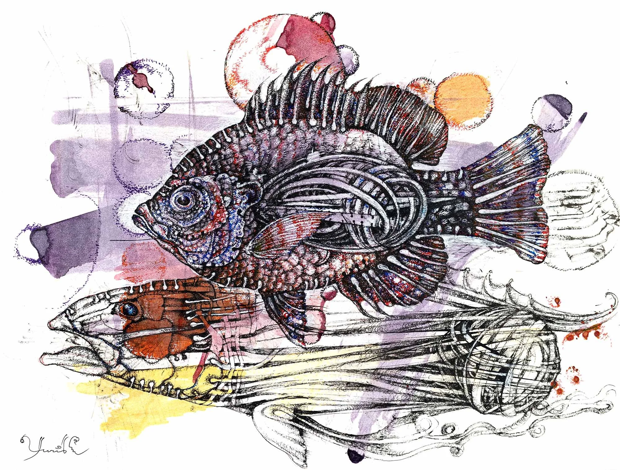 Pumpkin Seed. Dream. Graphite on paper, 27x36cm, 2022. Available.