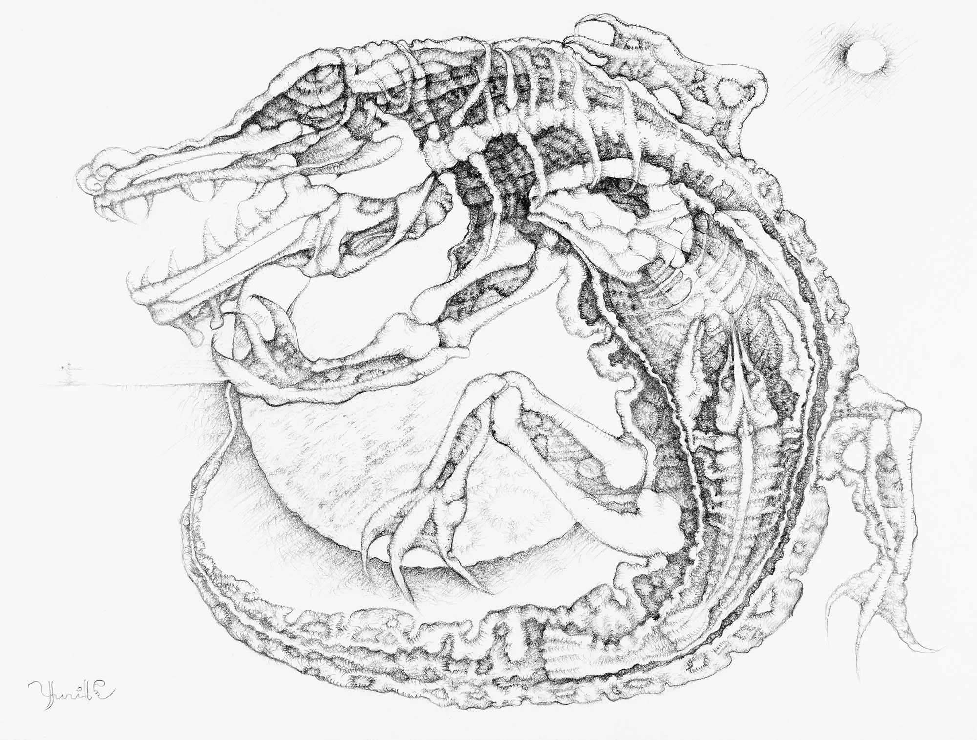 Cold Blooded.  Graphite on paper, 27x36cm, 2020. Available.