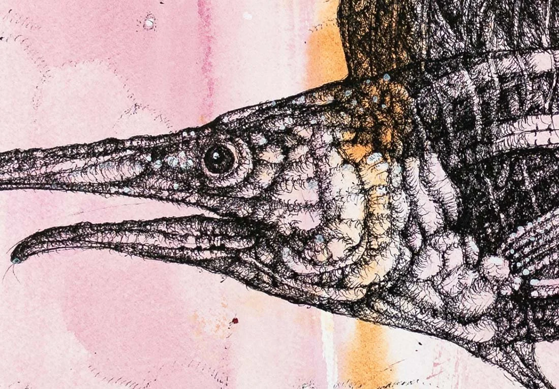 Letters from the Past — Sailfish. Ink on paper, 76x56cm, 2022. Available