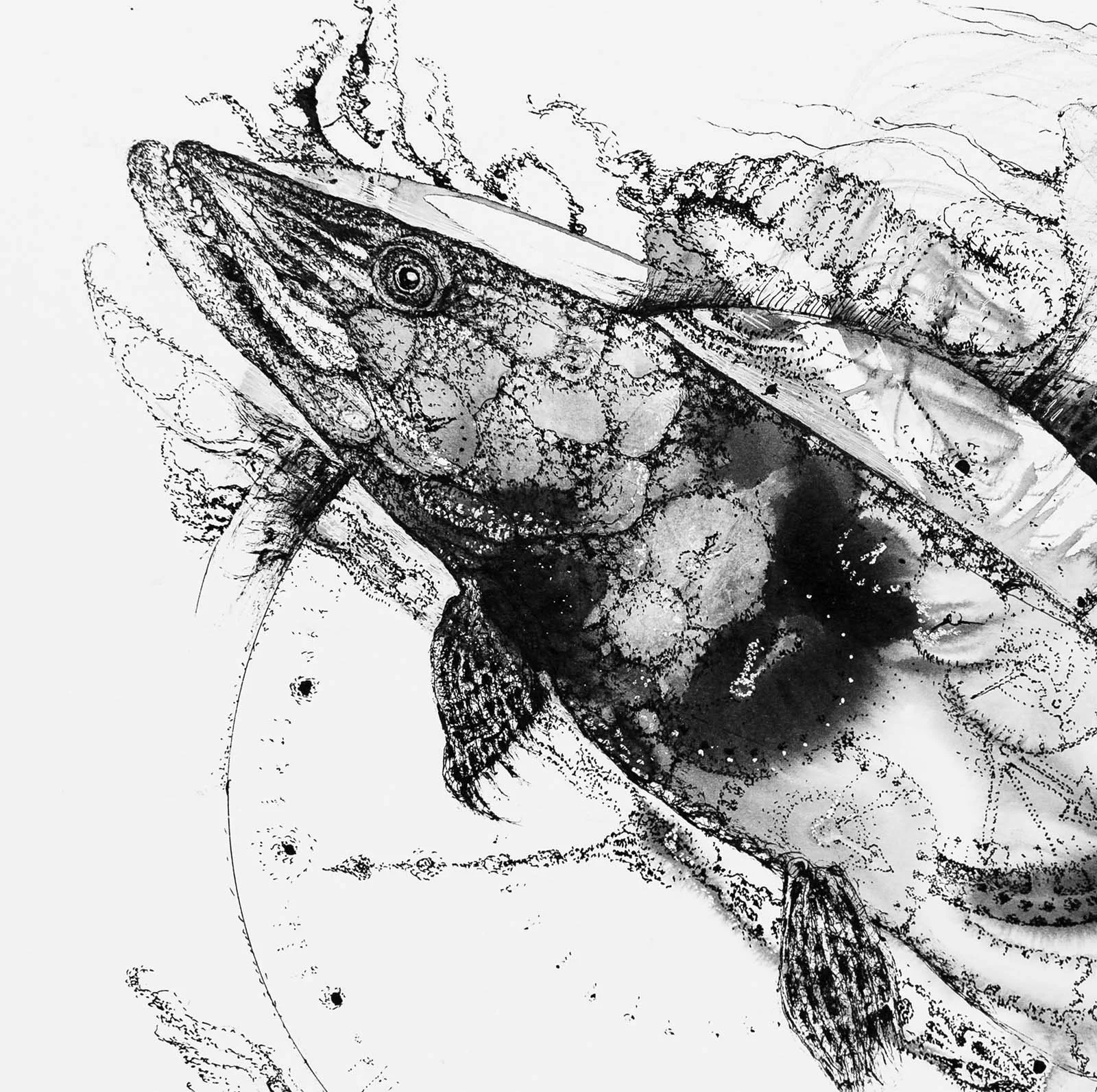 Pike Times.  Ink on paper, 36x28cm, 2022. Available.