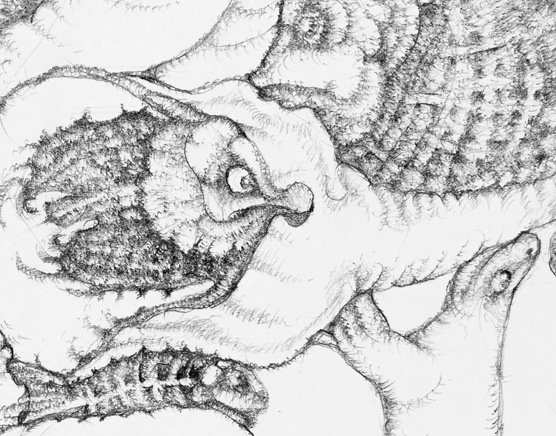 Look at Me. Graphite on paper, 27x36cm, 2022. Available.
