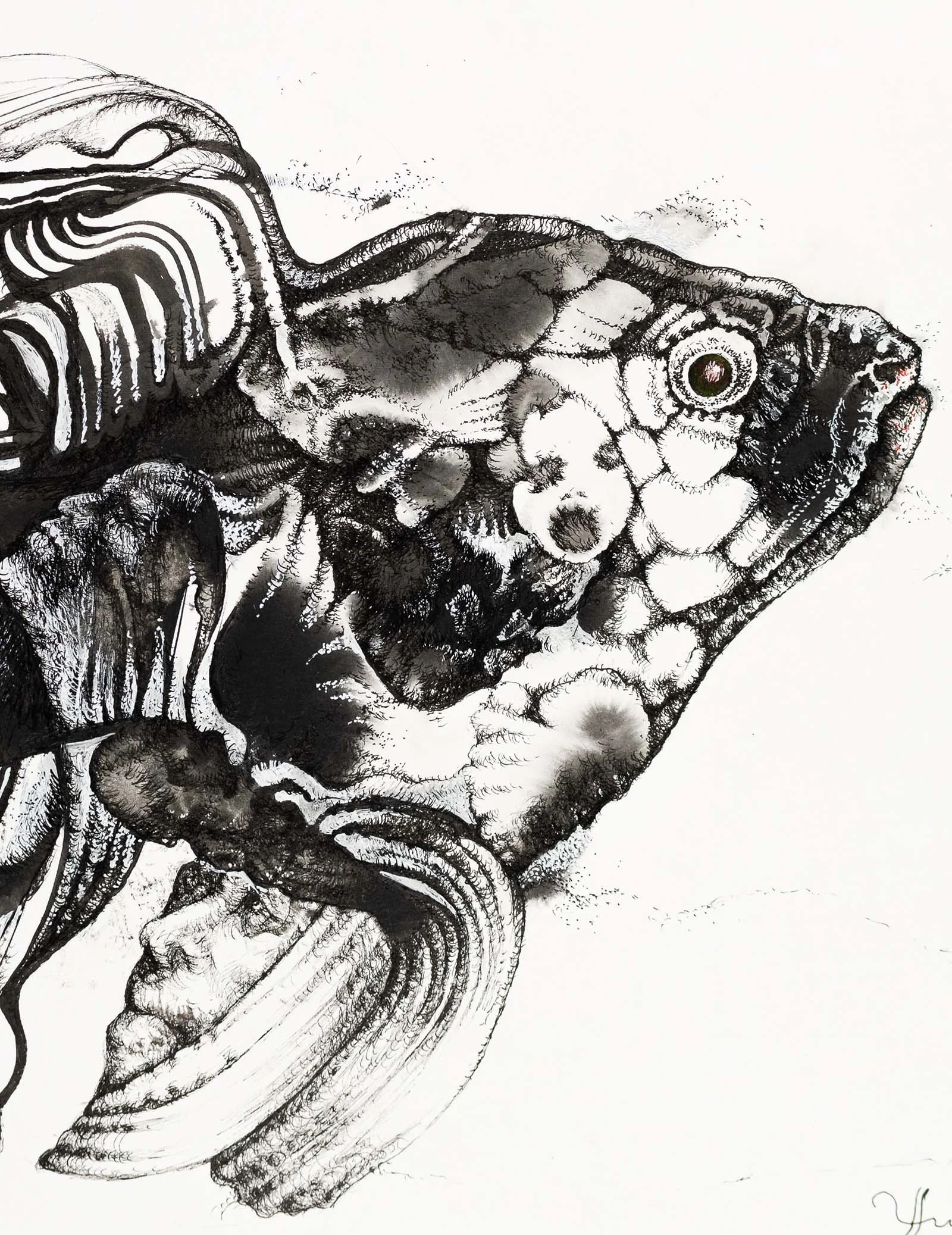 
Bait for a Ghost Fish. Graphite on paper, 36x28cm, 2022. Available.