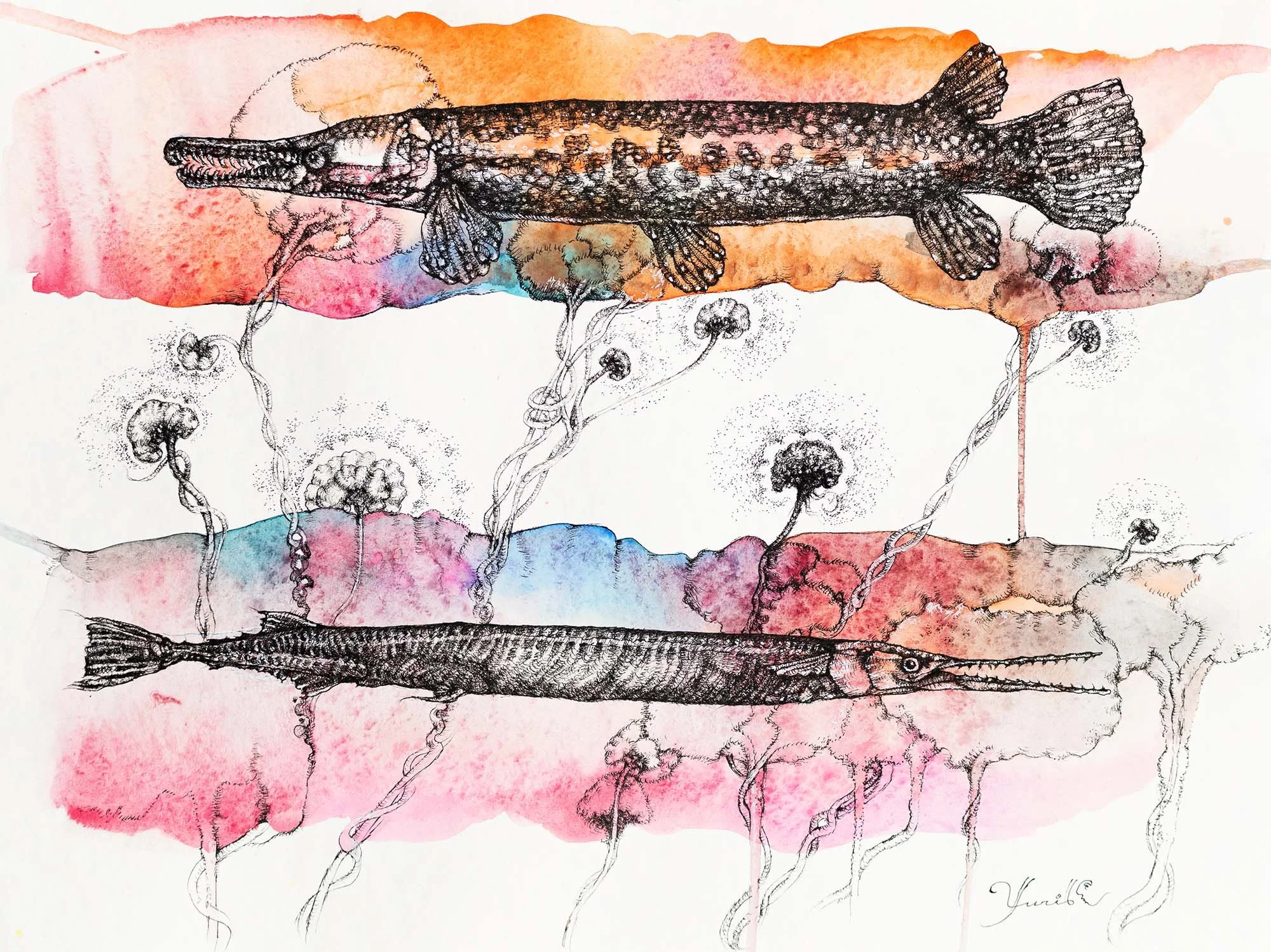 Alligator Gar. Graphite on paper, 36x48cm, 2022. Available.