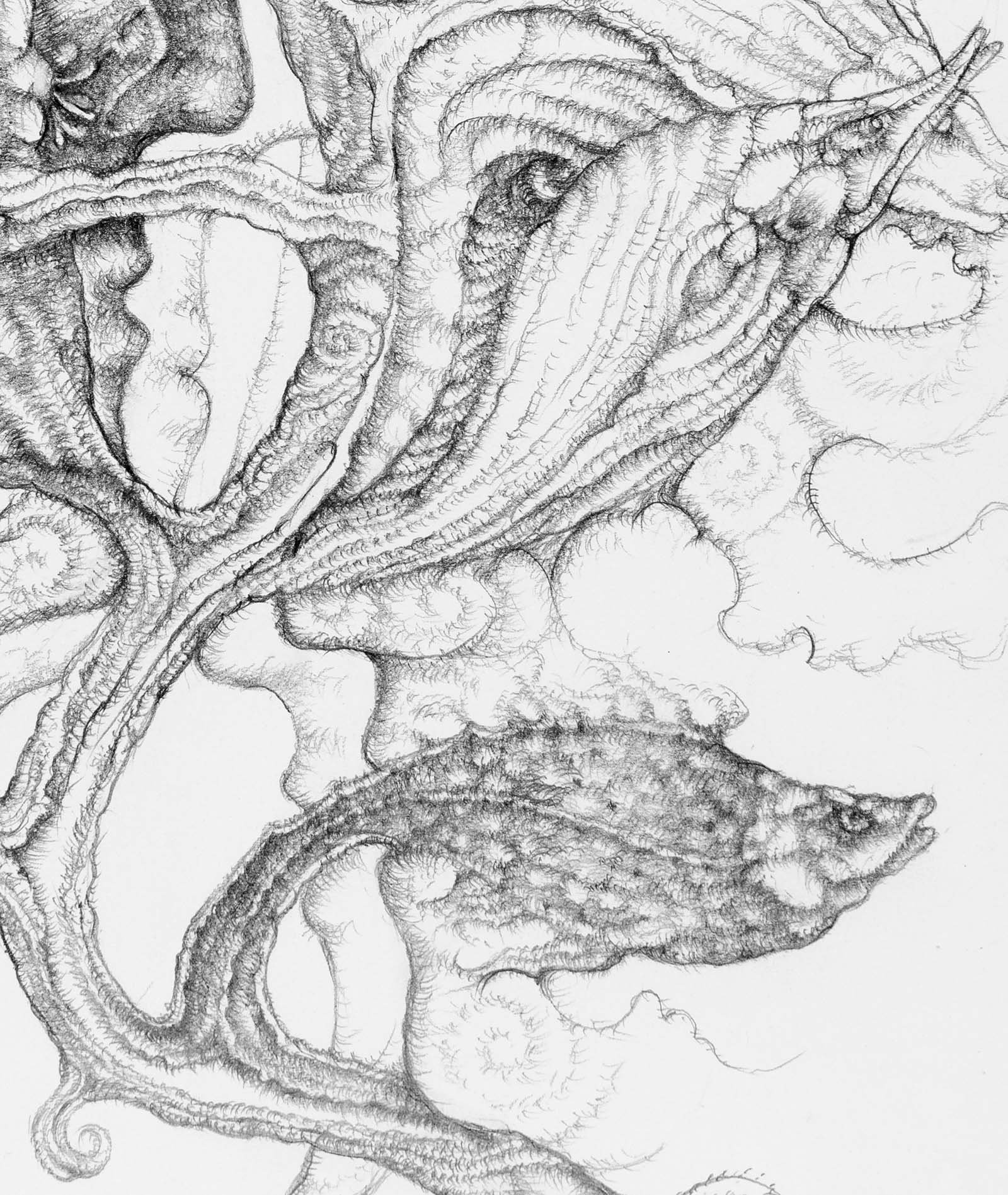 Facing New Beginnings. Graphite on paper, 27x36cm, 2022. Available.