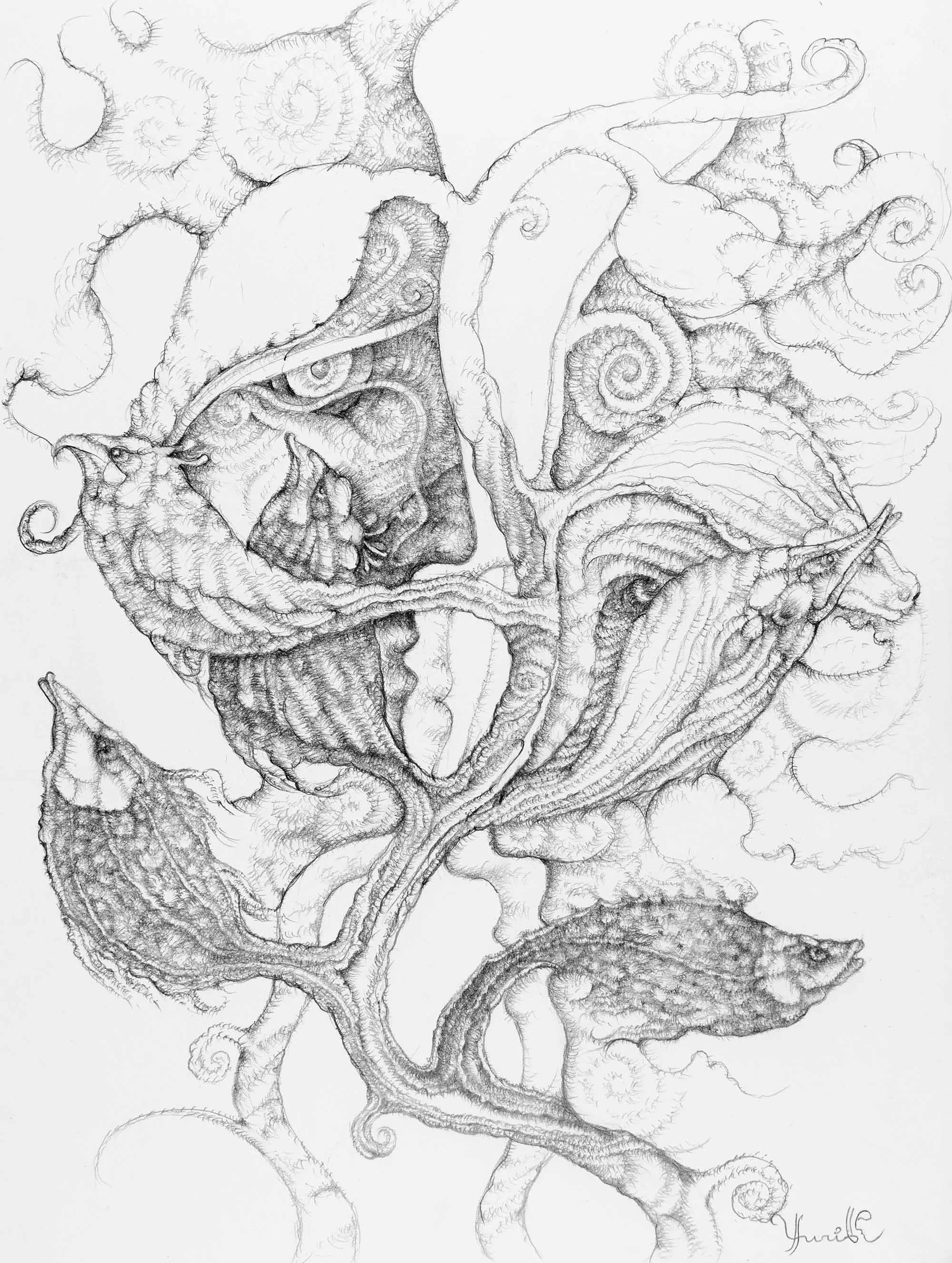 Facing New Beginnings. Graphite on paper, 27x36cm, 2022. Available.
