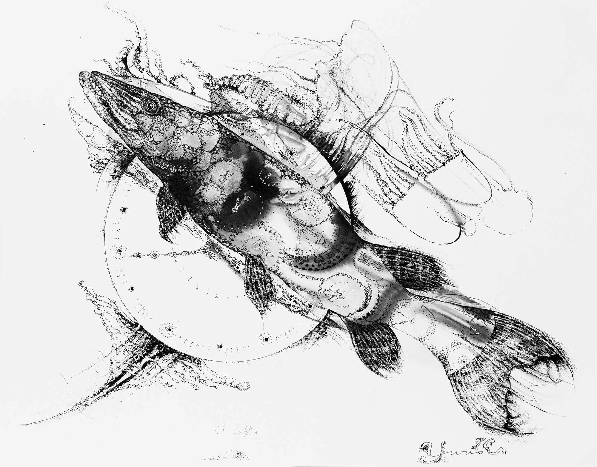 Pike Times.  Ink on paper, 36x28cm, 2022. Available.