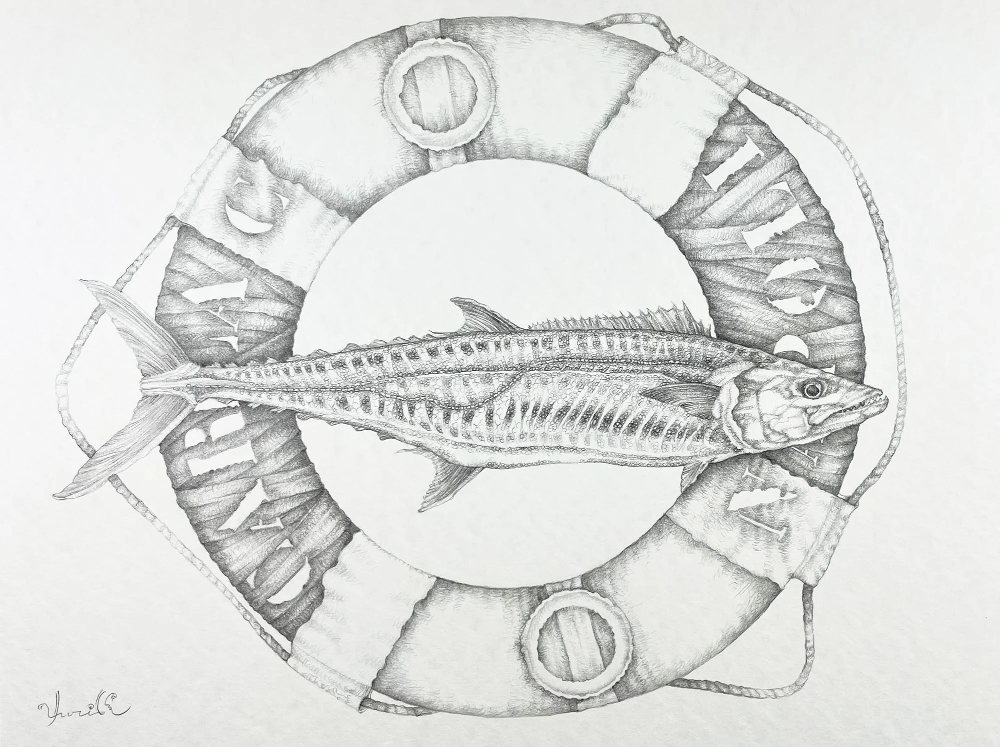Big Mackerel and Carla C. Graphite on paper, 36x48cm, 2022. Available.