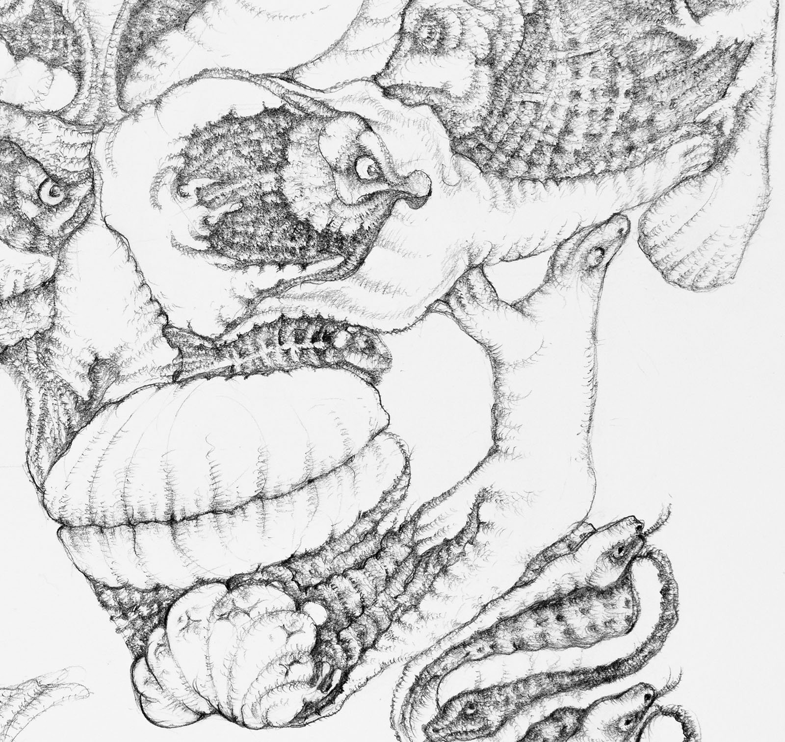 Look at Me. Graphite on paper, 27x36cm, 2022. Available.