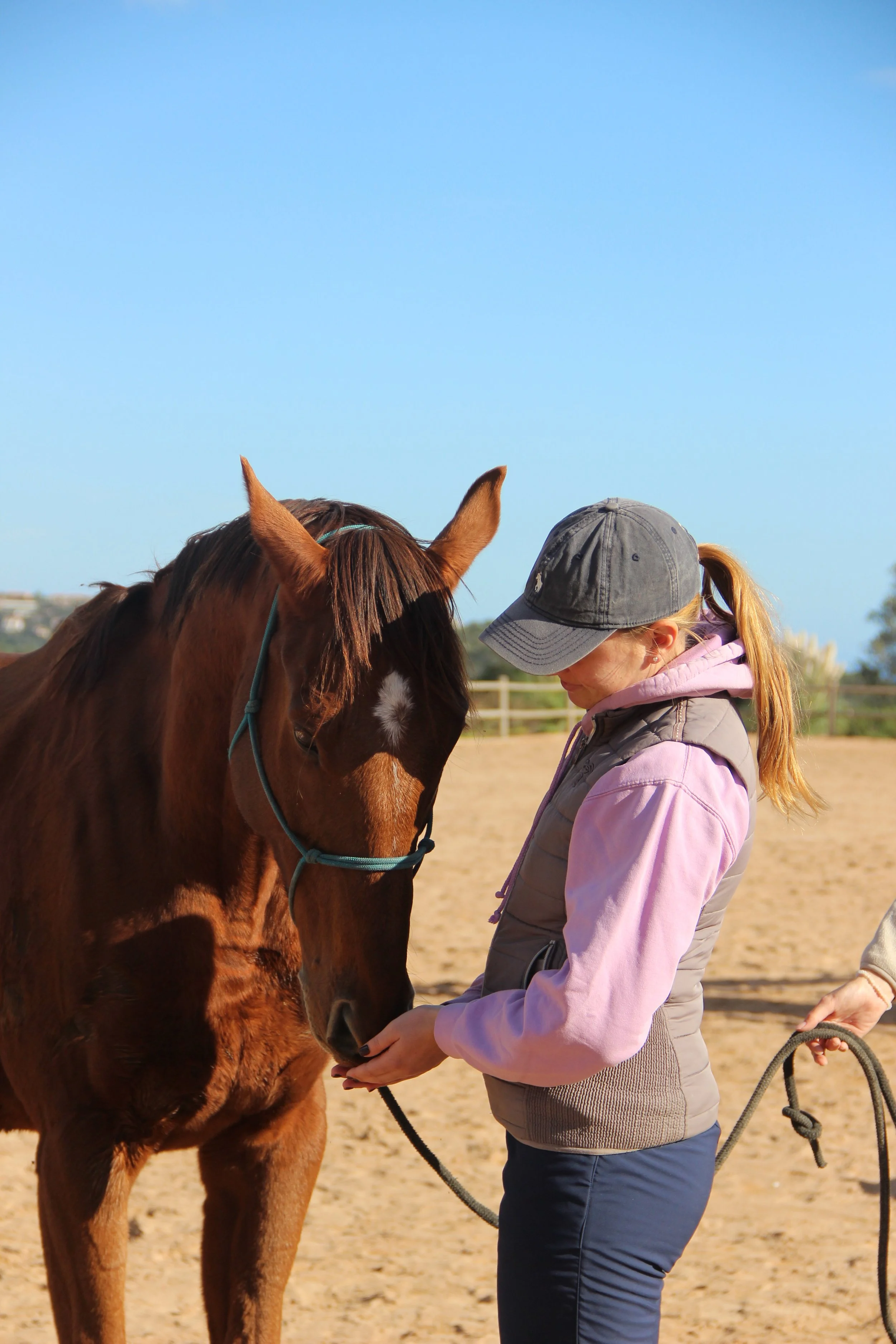 Une jeune fille tenant la tête d'un cheval au manège en plein air sous un ciel bleu.
