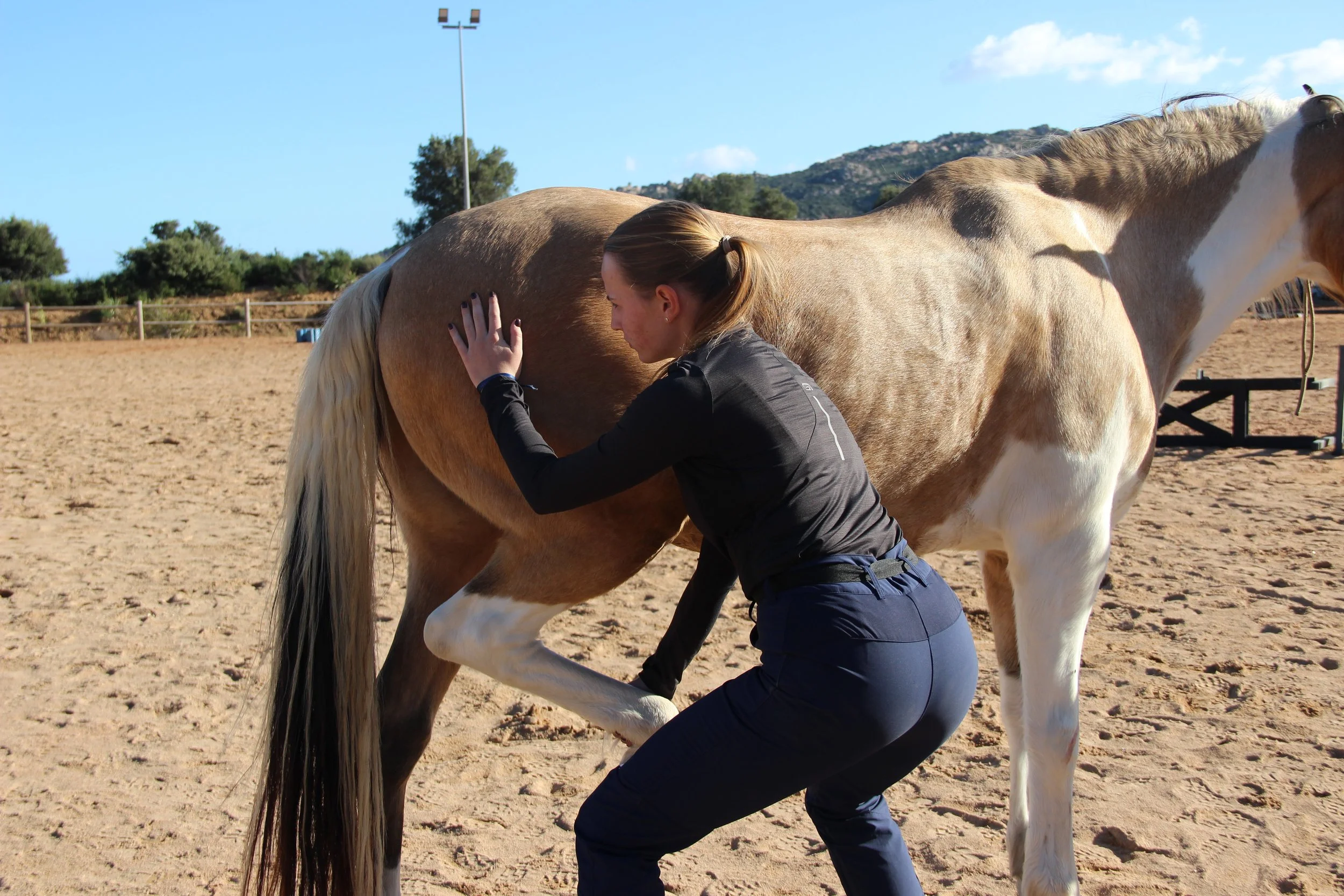 Une femme en tenue sportive caresse un cheval bai avec une tache blanche, dans un paddock en plein air lors d'une journée ensoleillée.