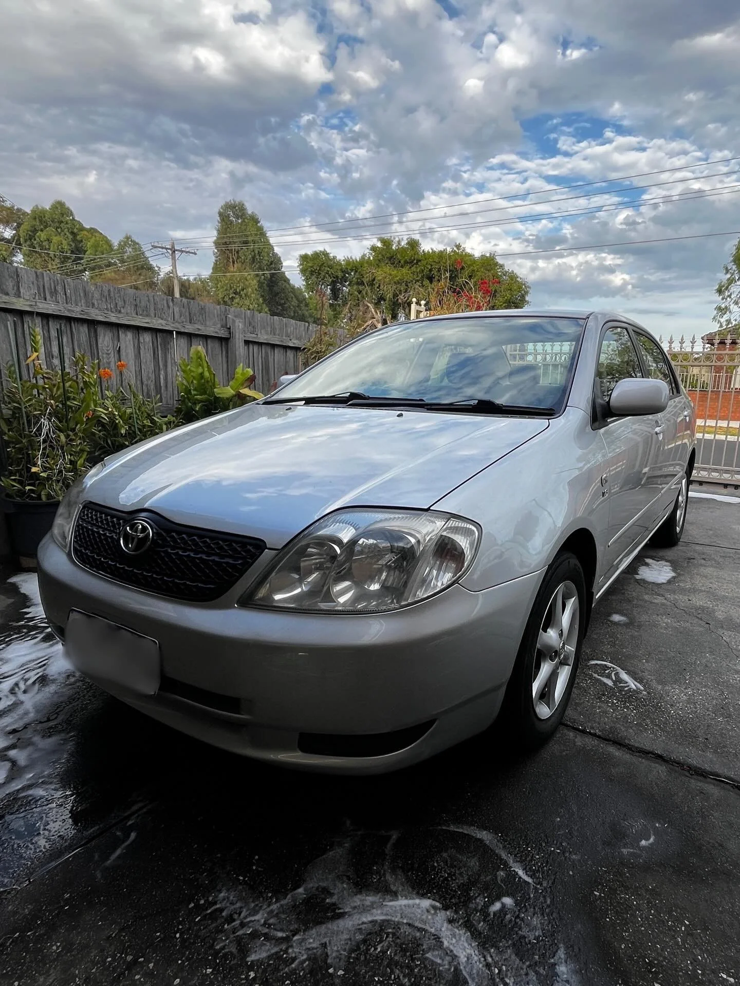 Exterior detail on 2003 Corolla #autodetailing #melbournedetailing #corolla