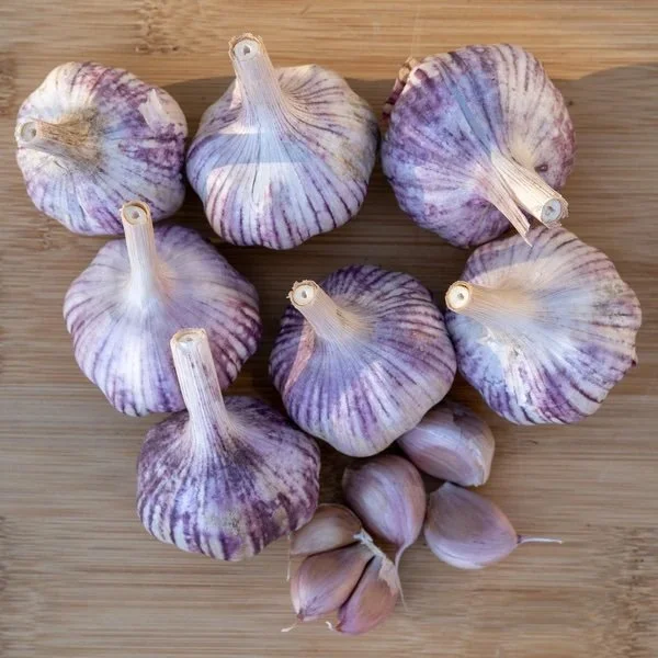 BASQUE