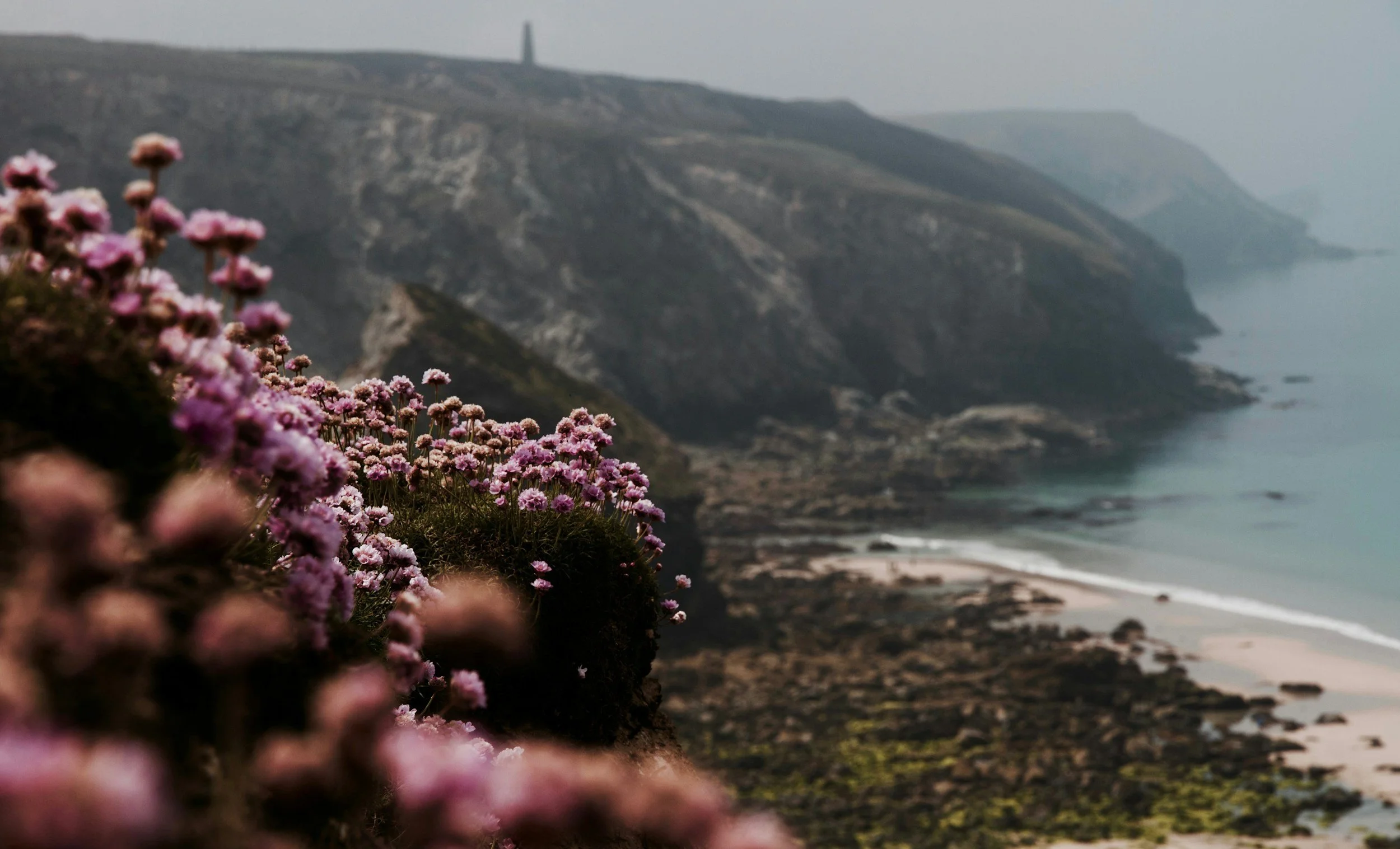Pink flowers in the foreground with rocky cliffs and ocean in the background, featuring a distant tower on a hill under cloudy sky.