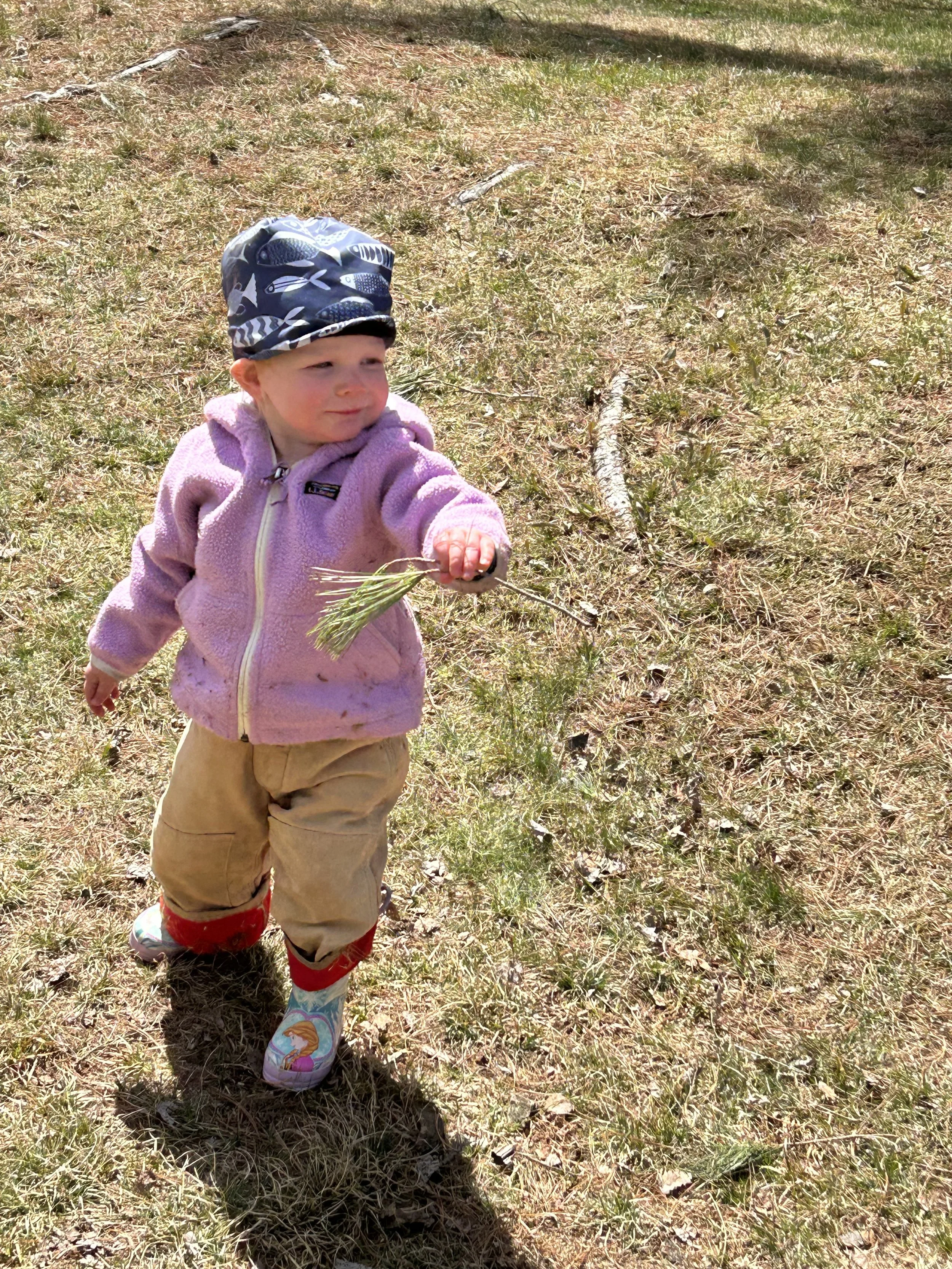 Robert Frost Interpretive Trail - Ripton VT April 2026