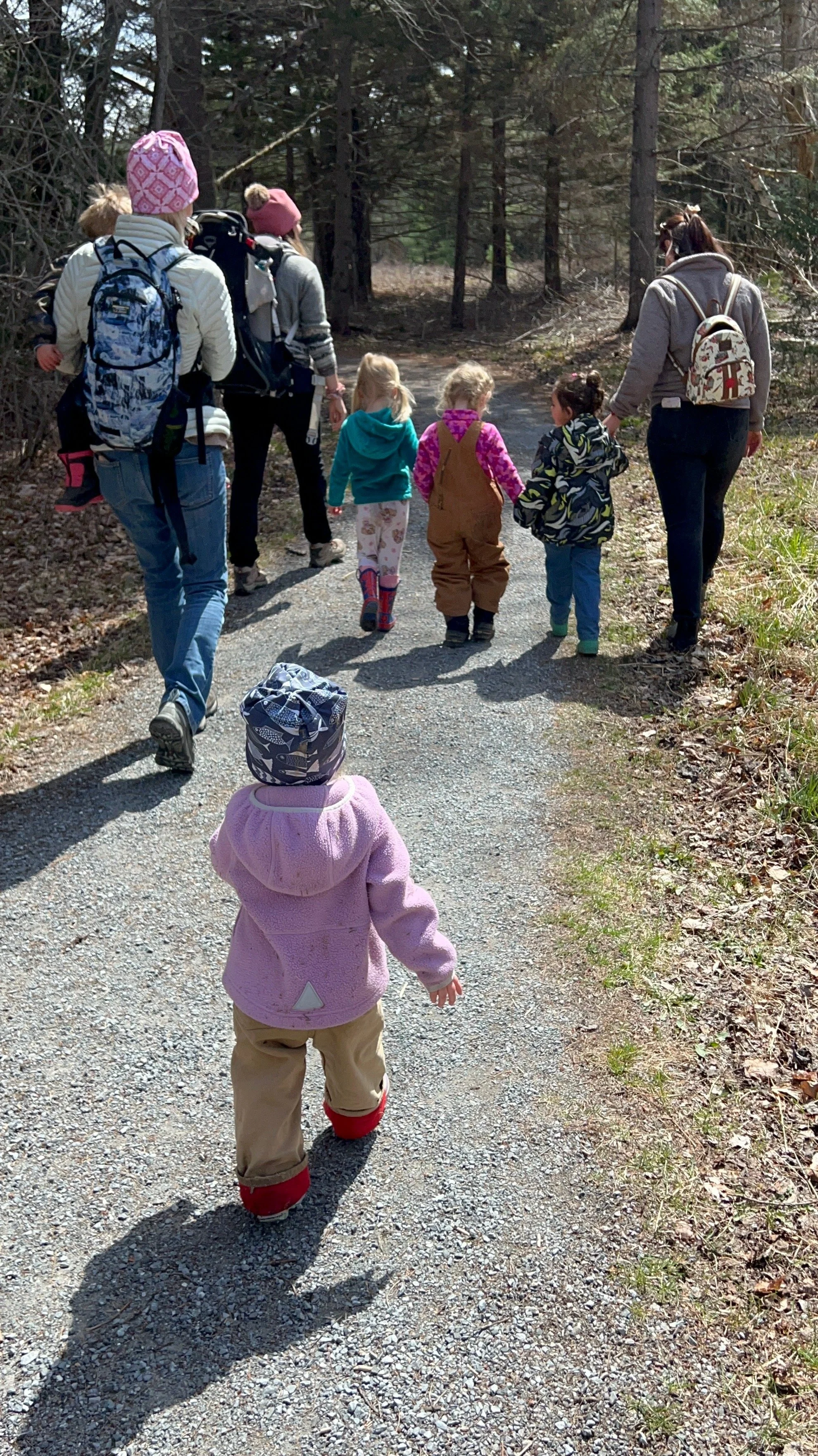 Robert Frost Interpretive Trail - Ripton VT April 2026