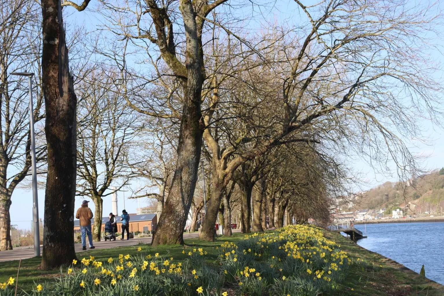 Historical Walking Tour: The Marina