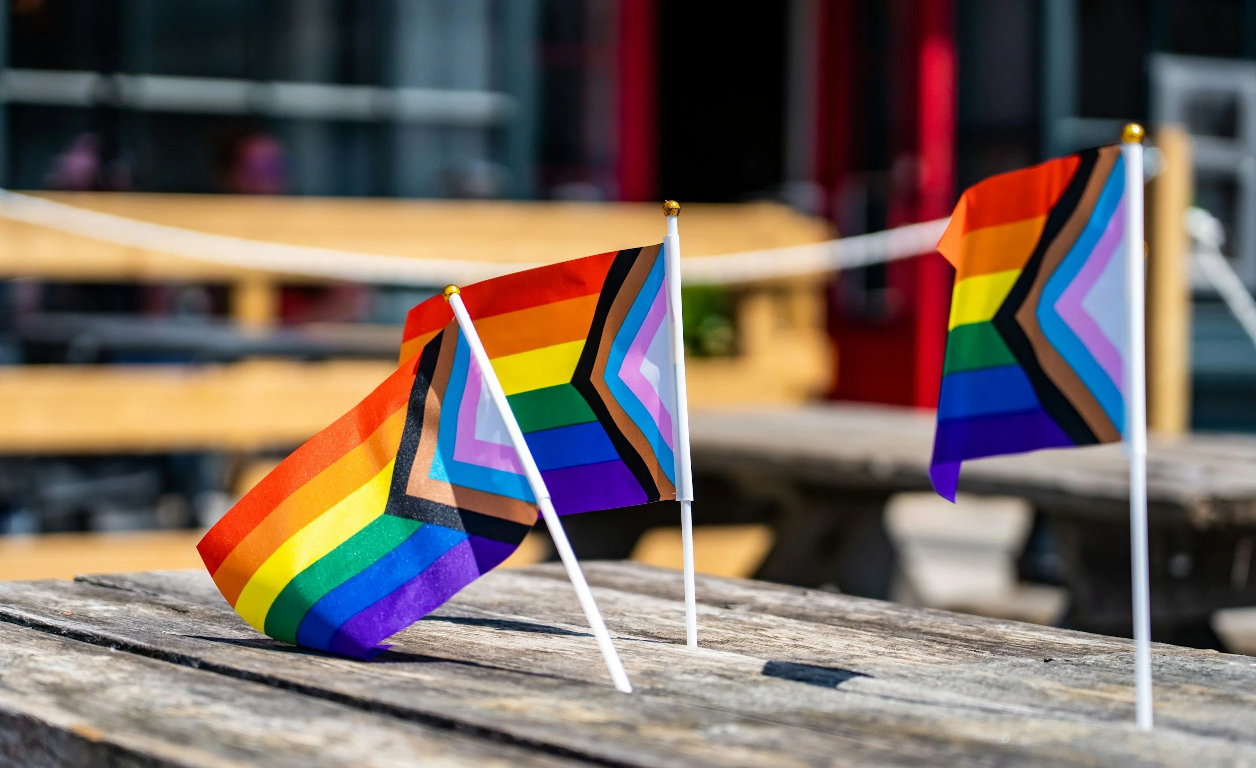 Cork Pride Picnic