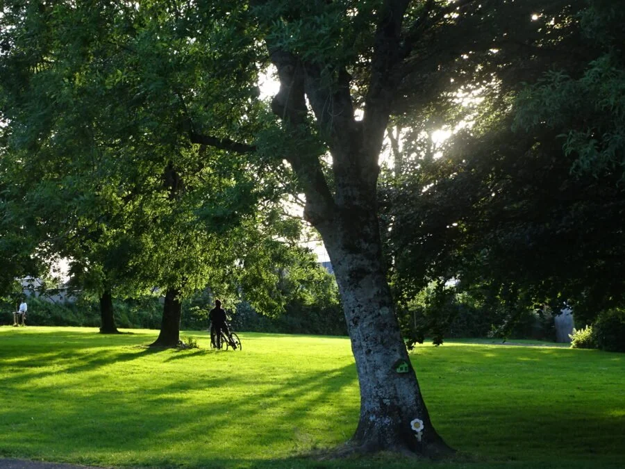 Historical Walking Tour: Ballinlough