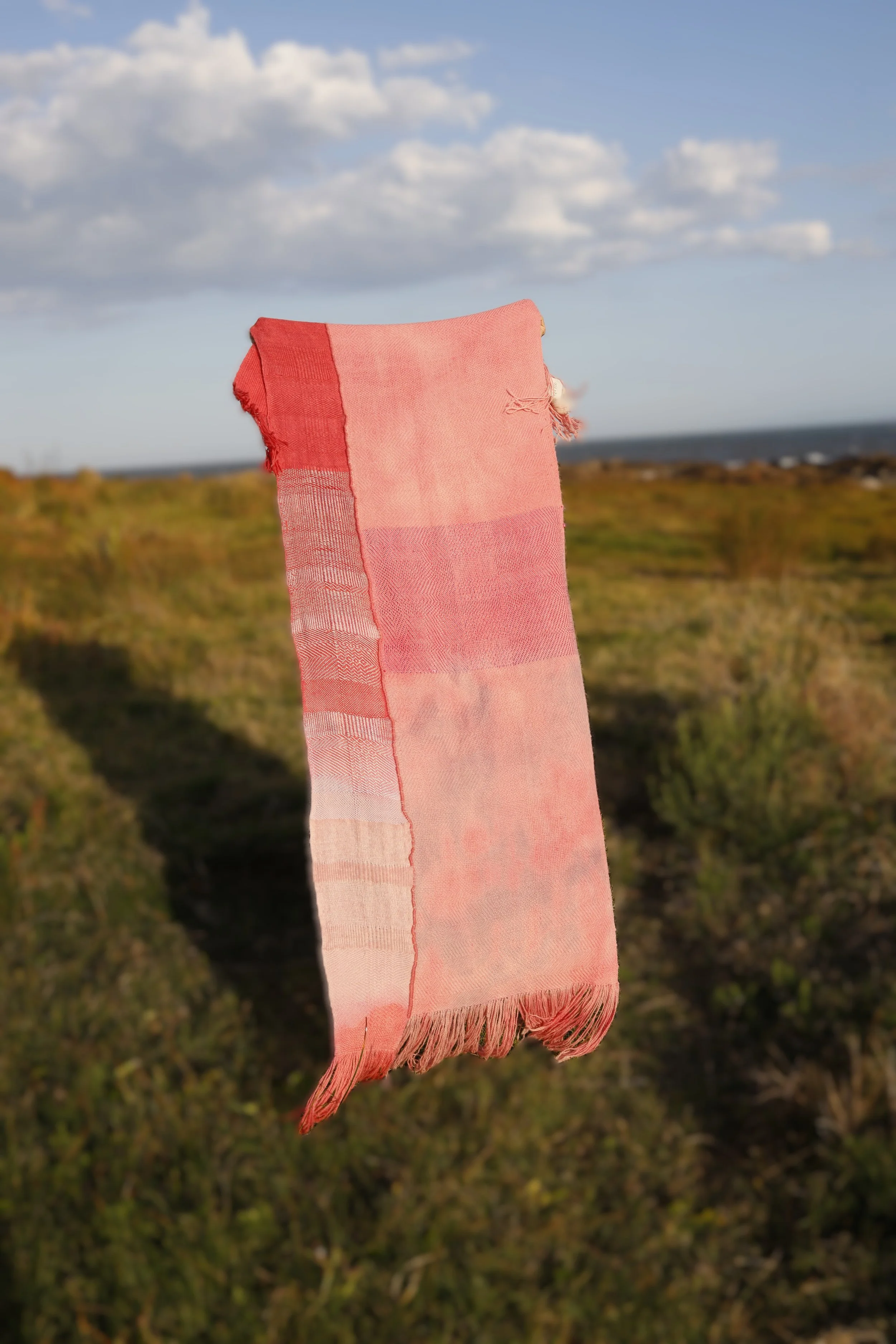 Manto afrodita(1).jpg