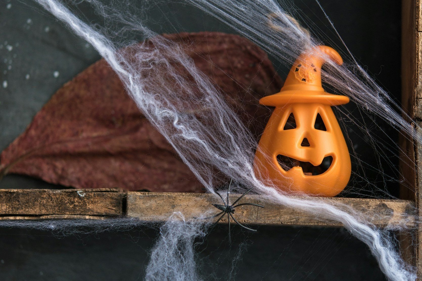 Clearing The Cobwebs: October Insights