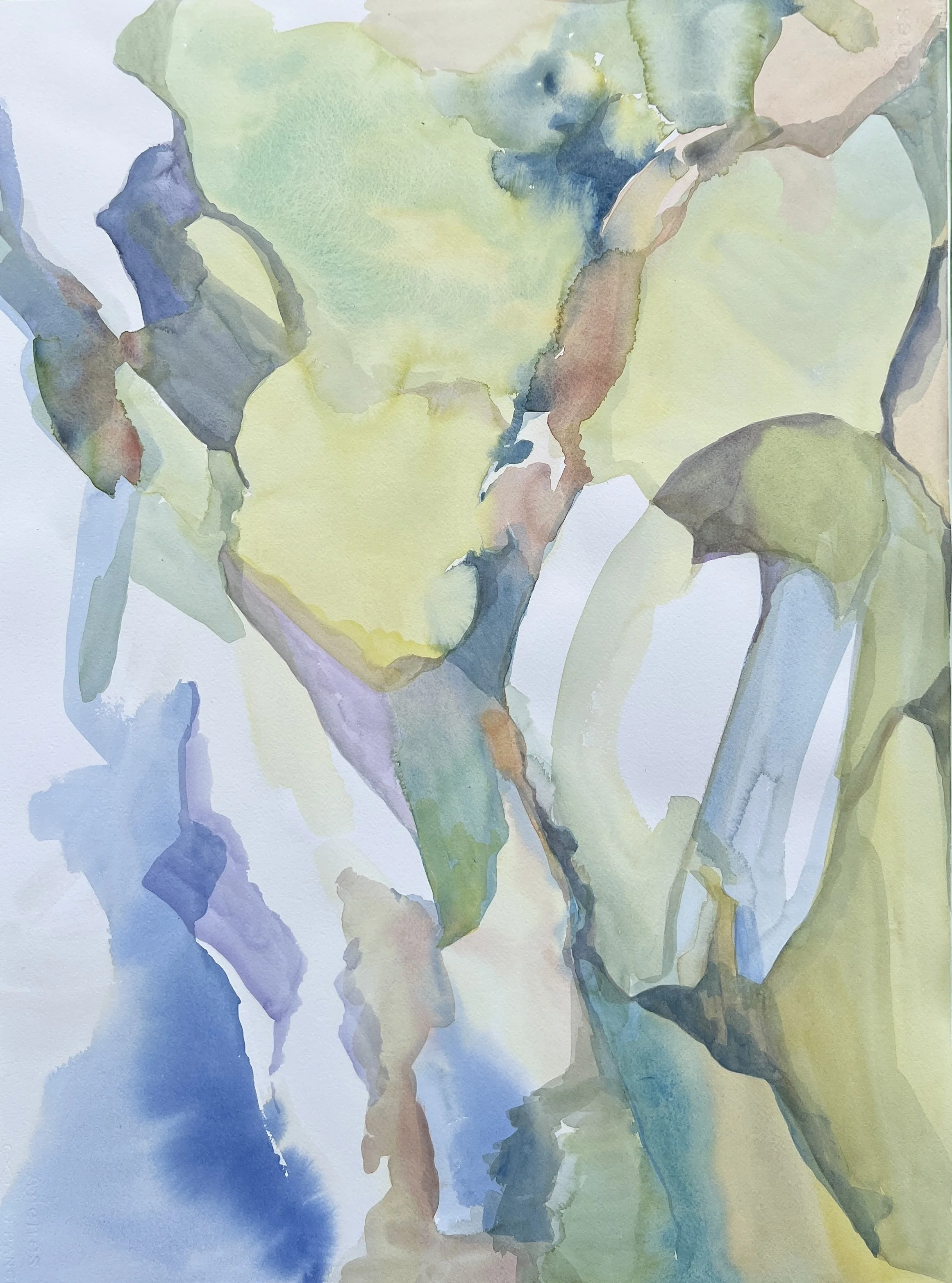 Series II. Watercolor on paper 22 x 30 in. 2026