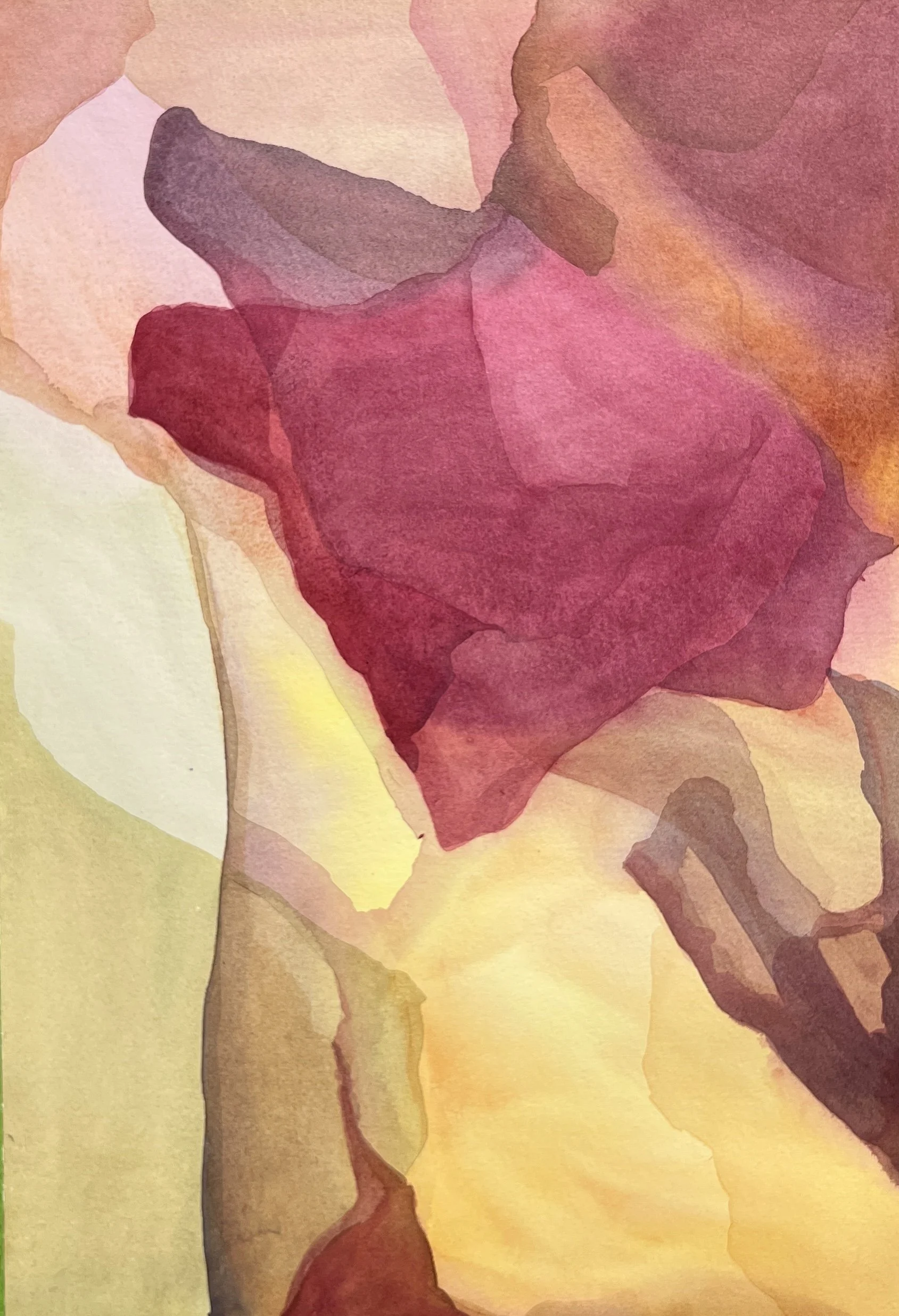Series II. Watercolor on paper  22x15 in. 2026