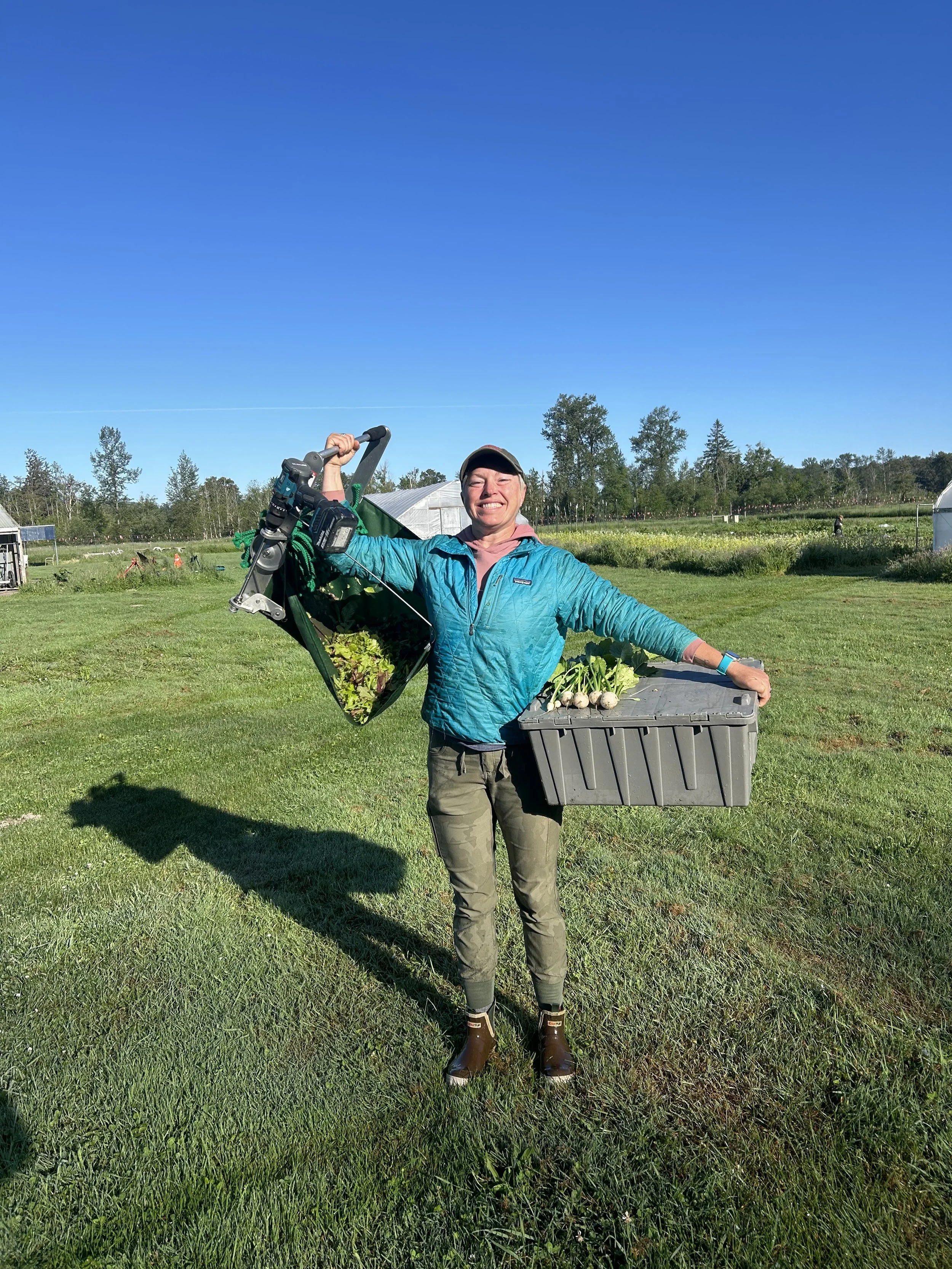 A woman in outdoor clothing holding a large plastic bin filled with vegetables and a foldable wagon with more vegetables in a field under a clear blue sky.