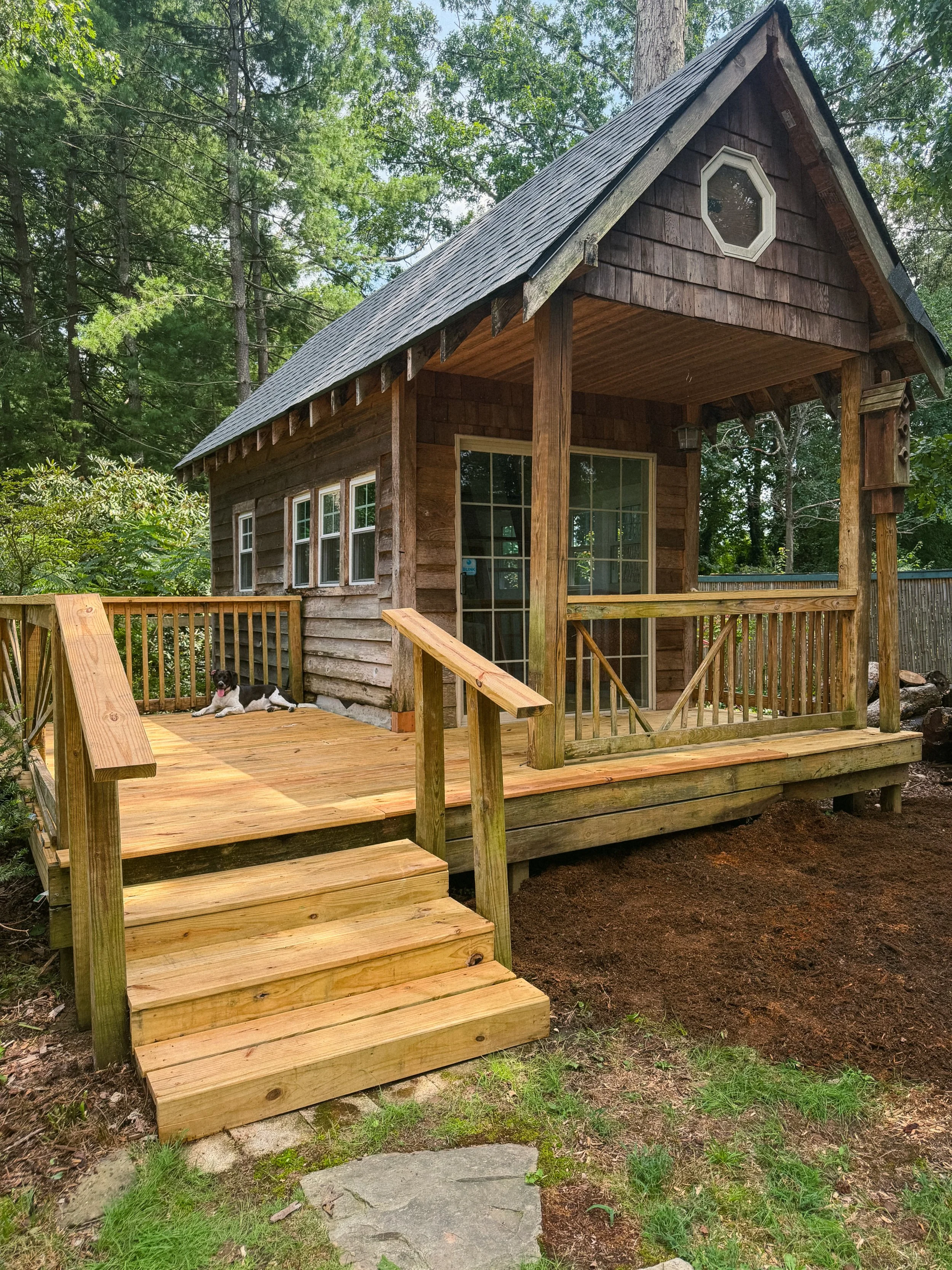 A small wooden house with a porch and stairs, surrounded by trees and greenery, with a dog lying on the porch.