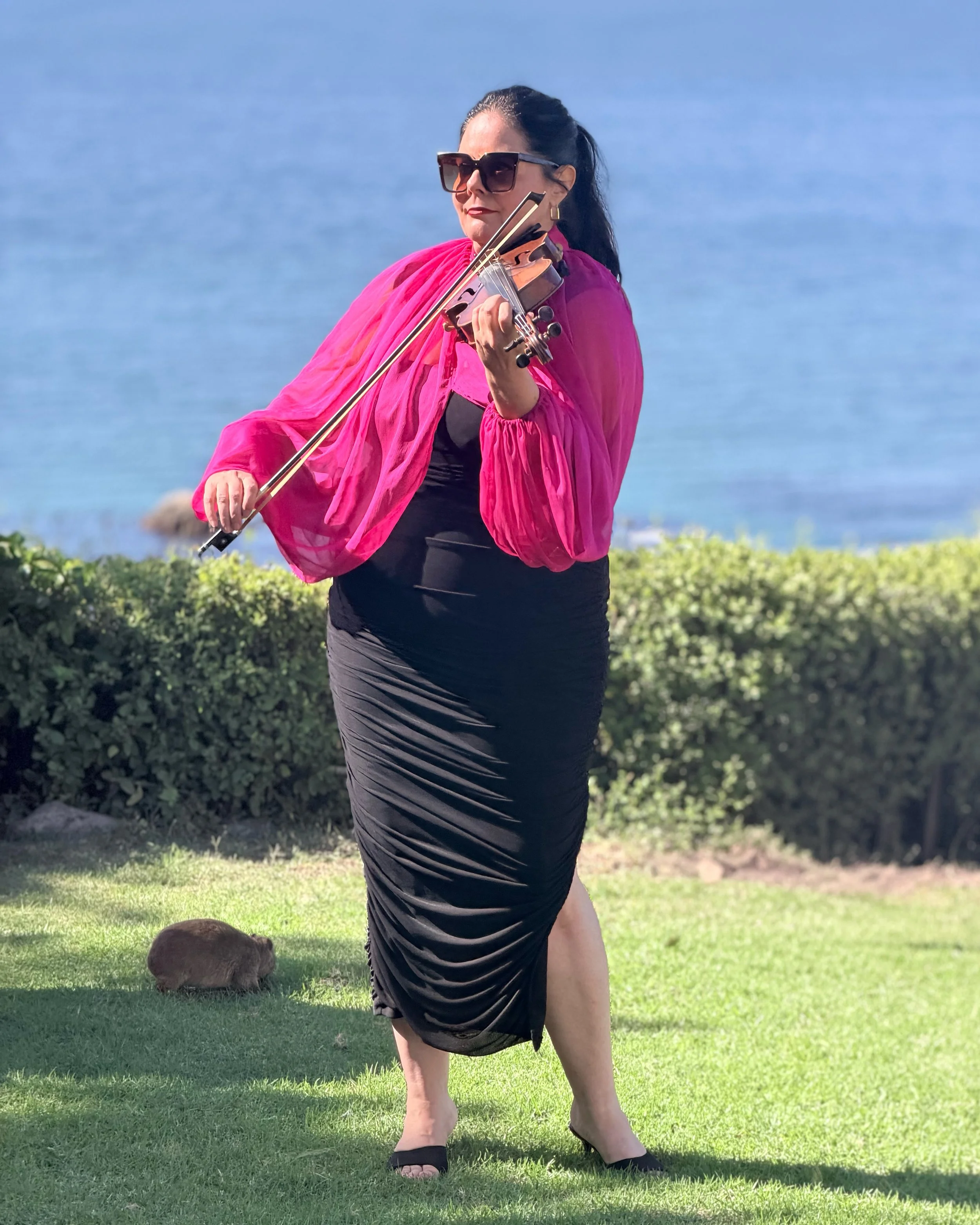 A woman in a black dress and pink shawl playing the violin outdoors near a body of water with a fox on the grass nearby.