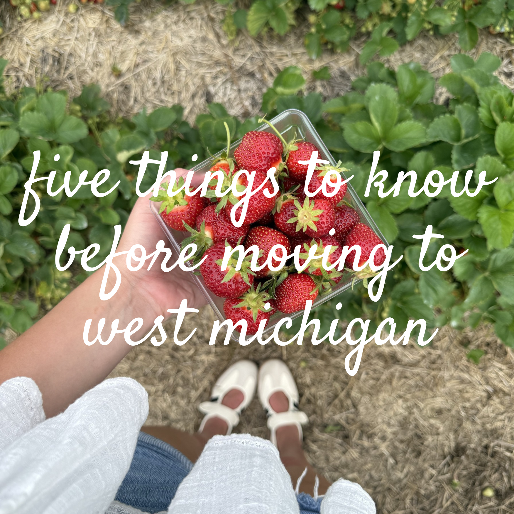 Five Things To Know Before Moving To West Michigan