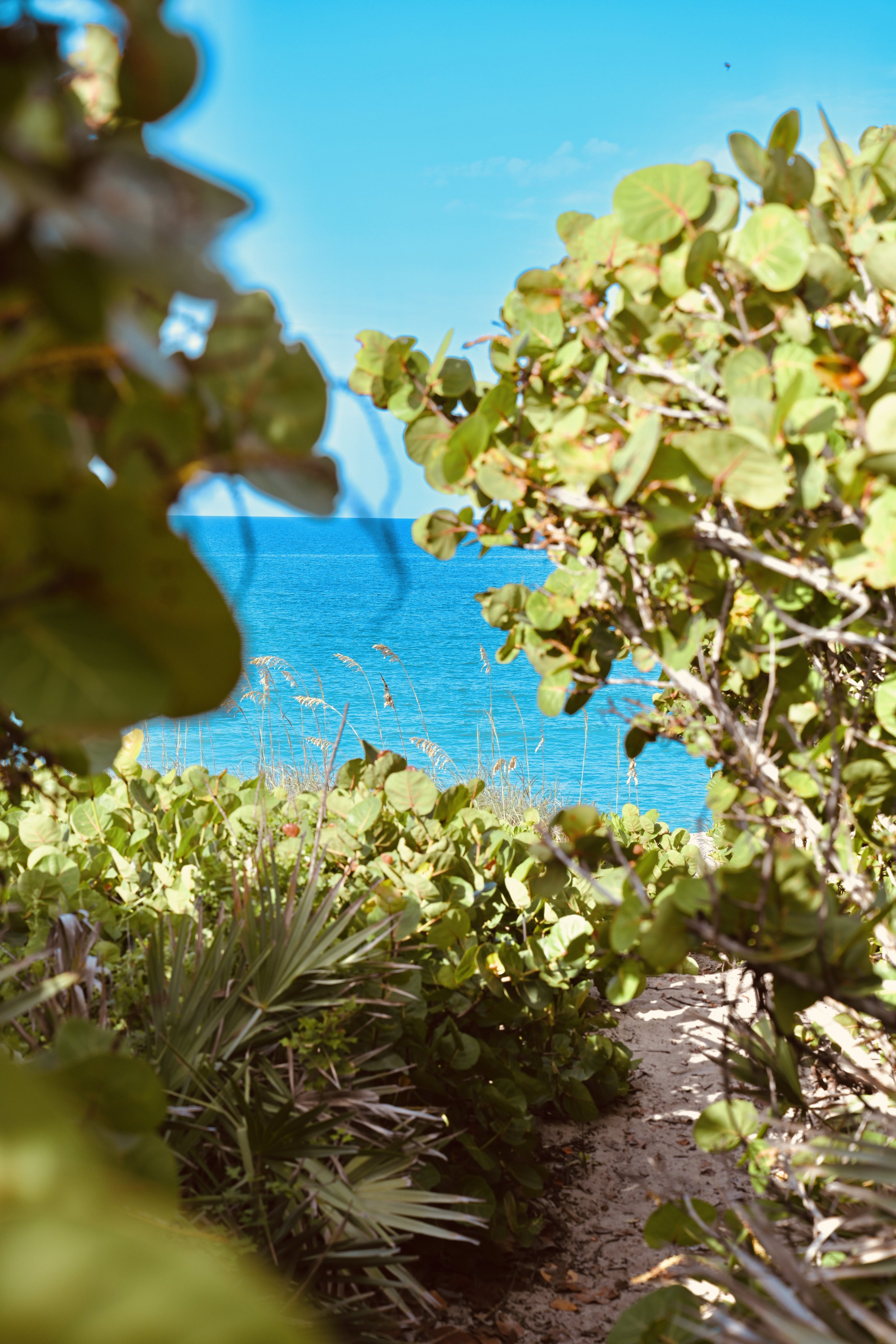 Coastal Care Plan