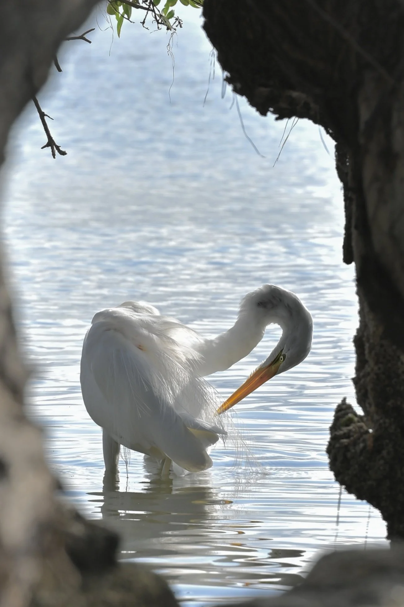Coastal Assurance Plan