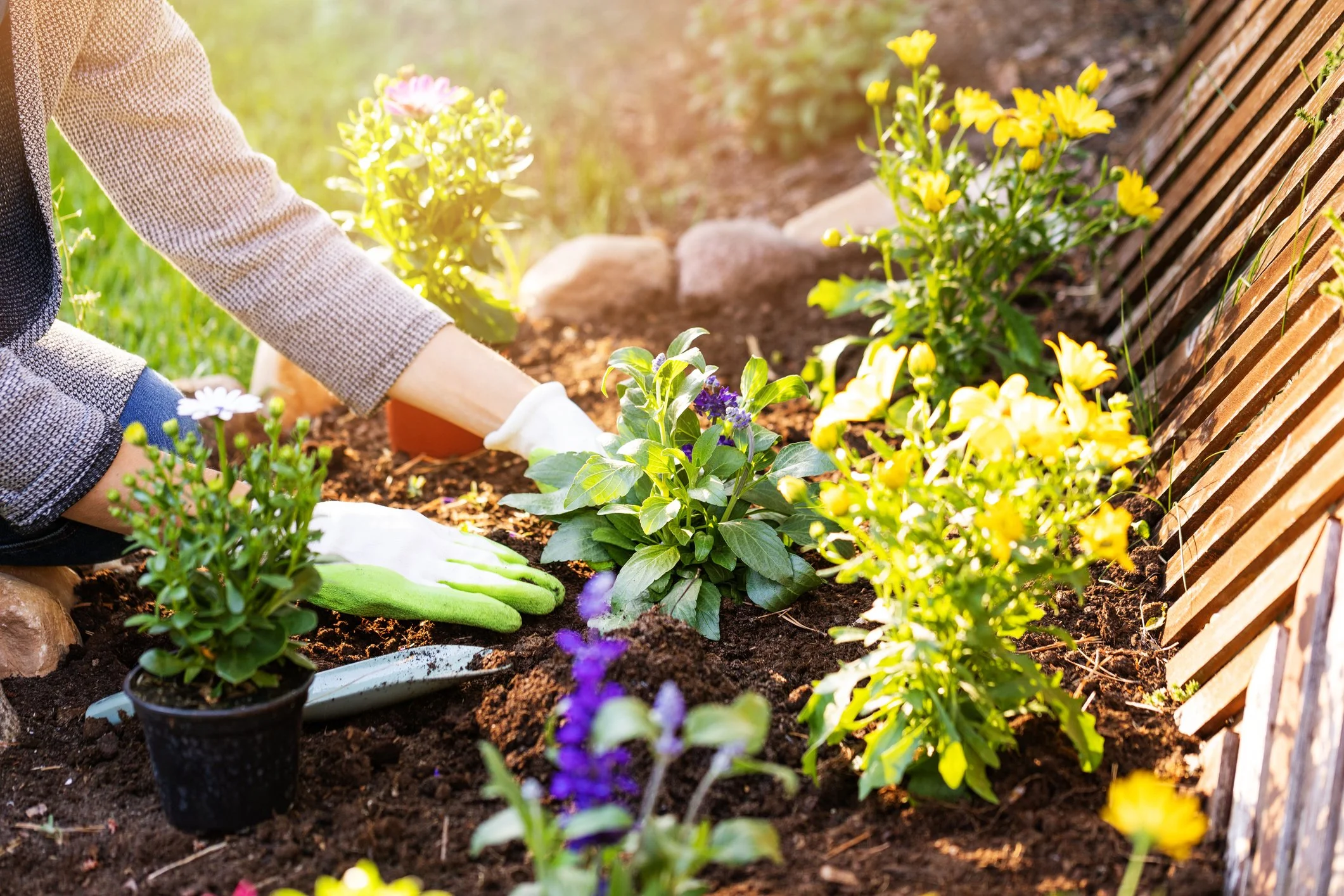 Landscape design assistance, landscape maintenance coordination, plant care