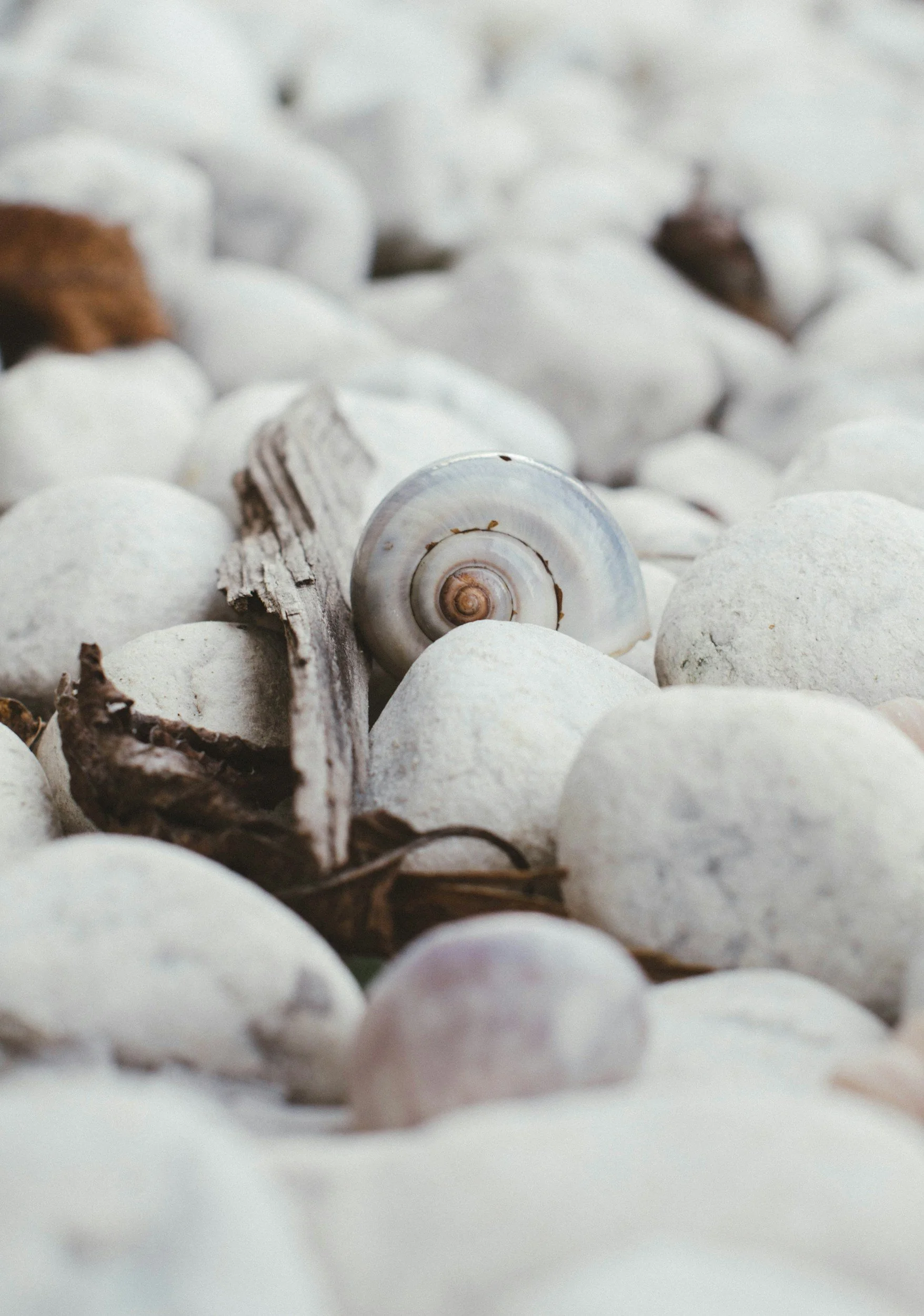 Consulting for small businesses that need one time project or flexible support that moves with their needs.