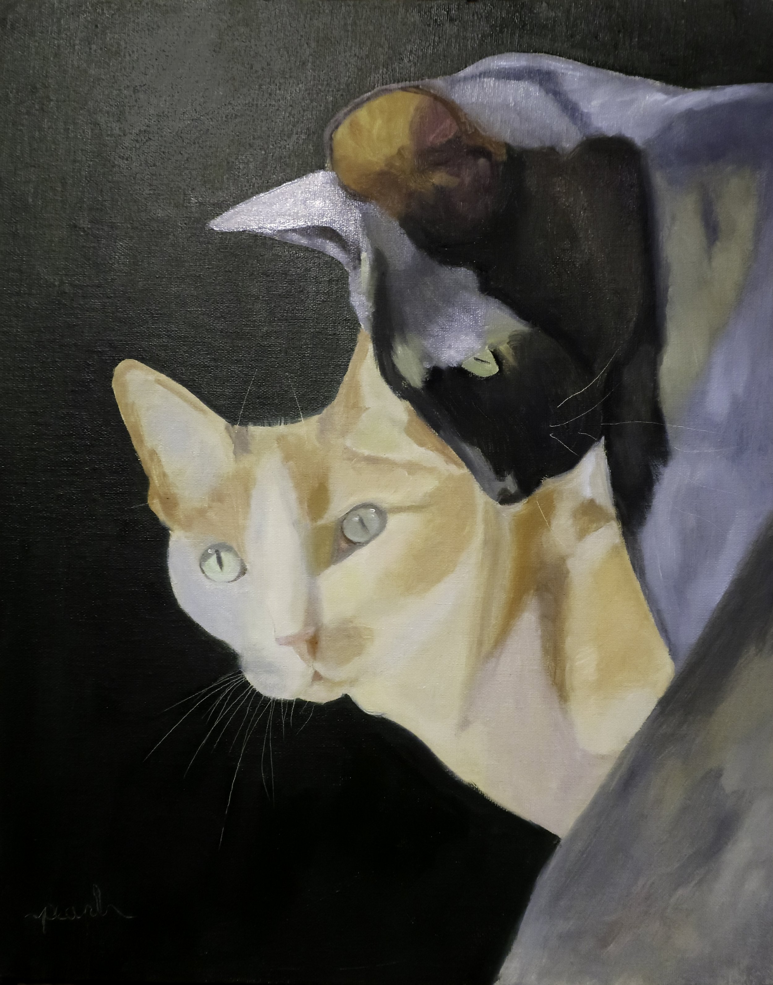 Painting of a kitten with cream and orange fur, wearing a silver collar with a circular tag, against a black background.