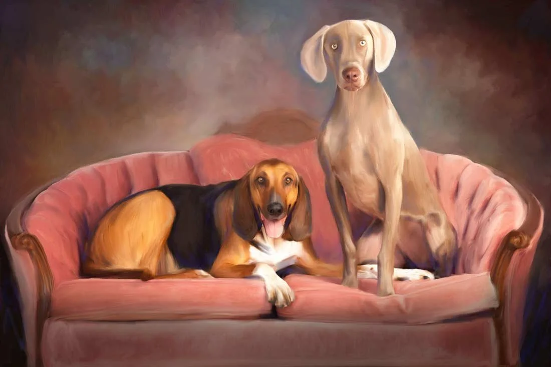 Digital painting of two dogs on a pink vintage sofa, one laying and one standing, with a dark, blurred background.