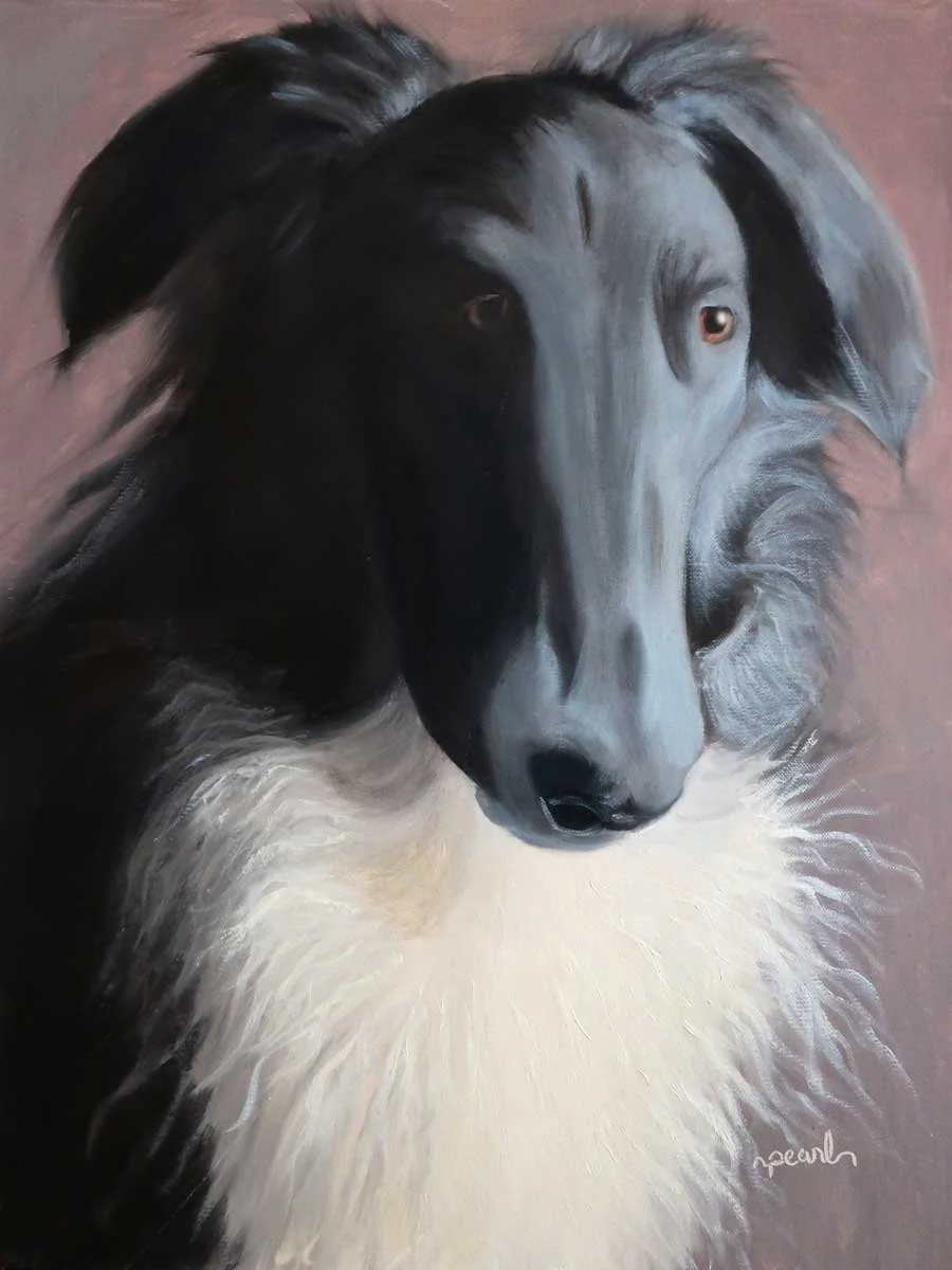A painting of a black and white dog with long fur and expressive eyes.