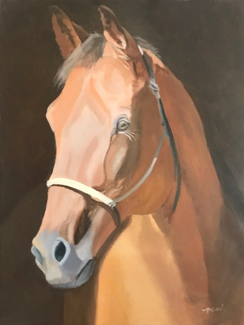 Painting of a brown horse wearing a halter, against a dark background.