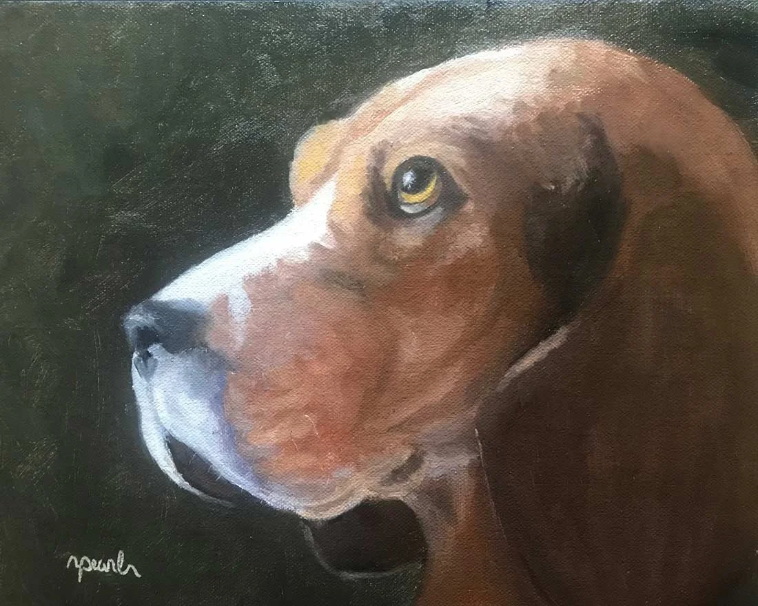 Close-up of a brown and white dog with a green background.