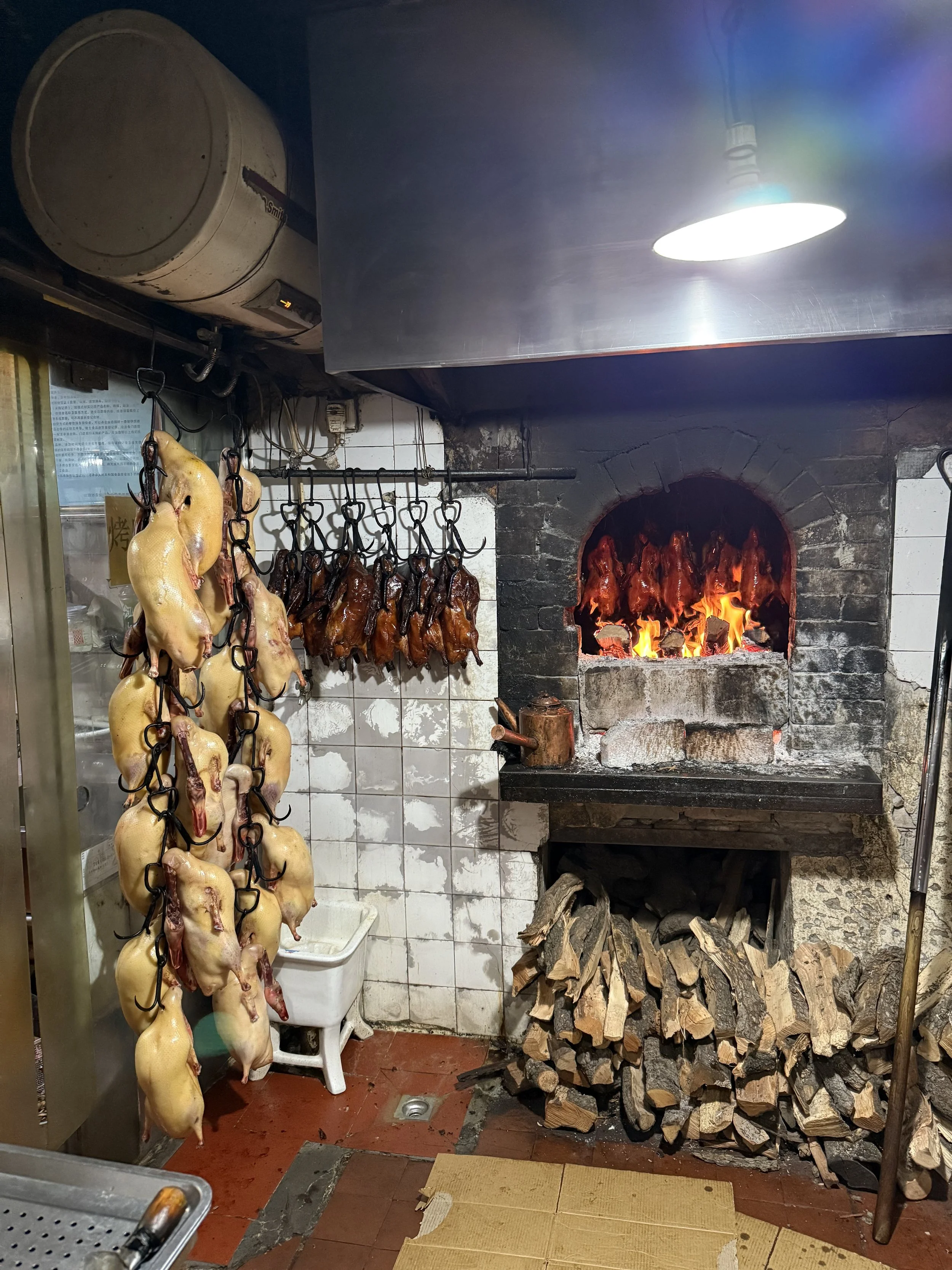 IMG_6937.jpeg