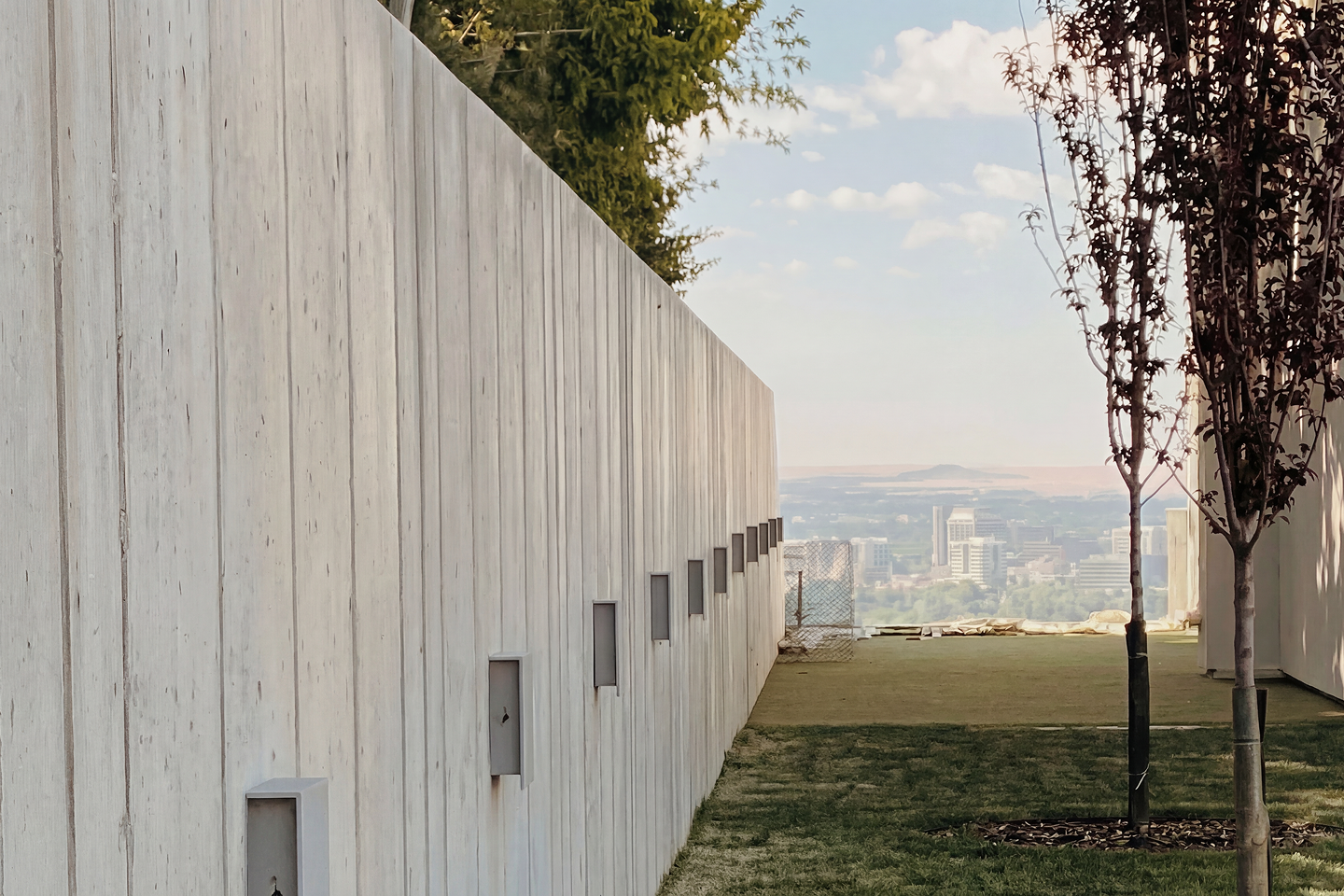 View of a modern rooftop garden with a white wooden privacy wall, two young trees, in an urban cityscape on a sunny day.