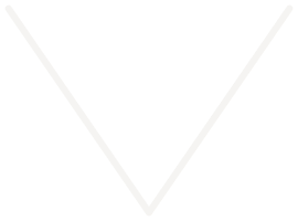 A black and white upside-down V-shaped check mark or symbol.