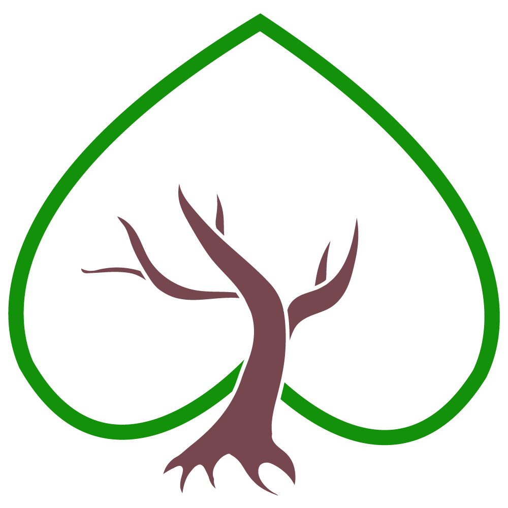 Amy Smoucha, Listening Tree Consulting (Copy)