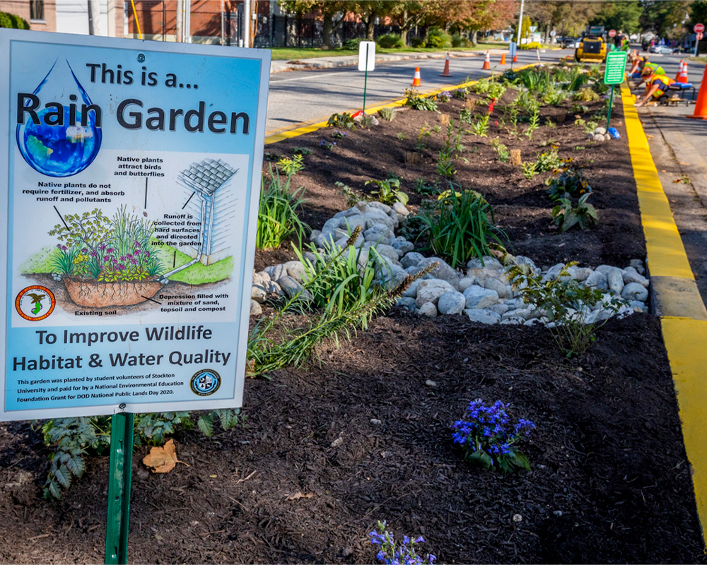 rain garden in the middle of the street
