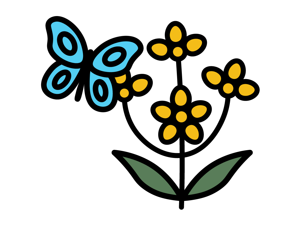 Blue butterfly with yellow flower